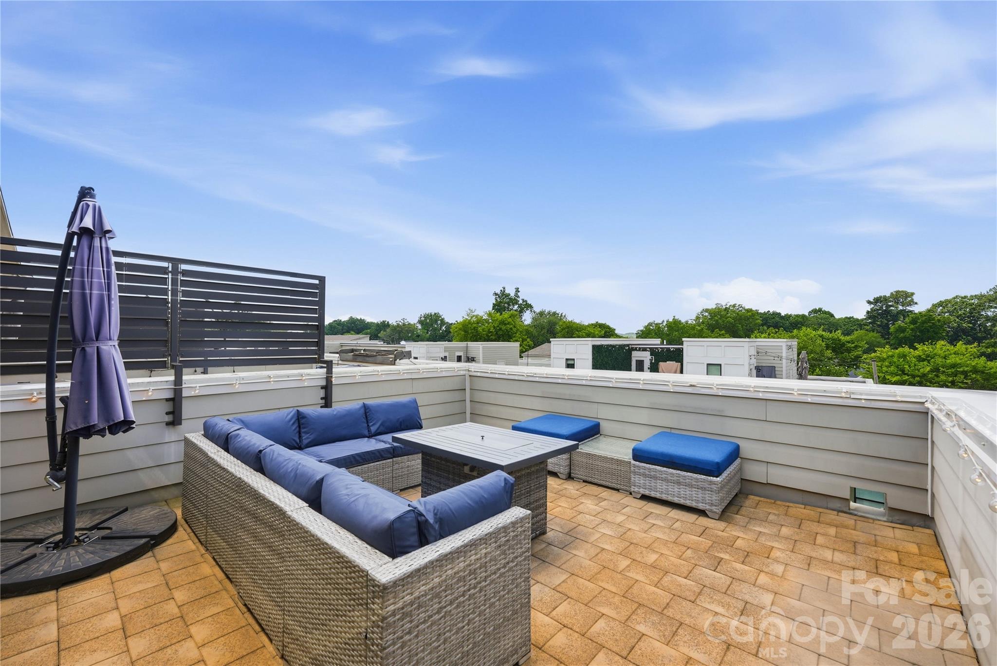 1747 Cannon View Lane — Charlotte