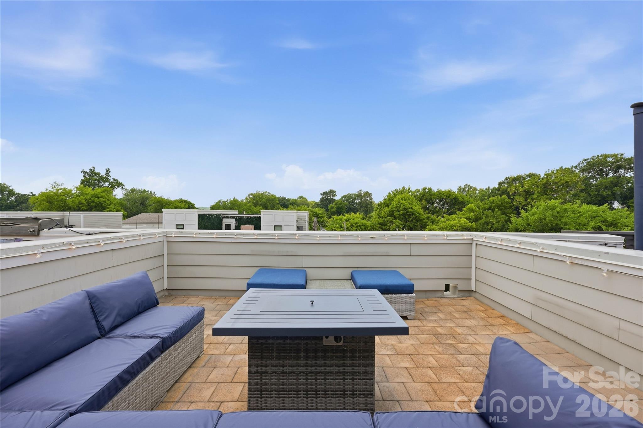 1747 Cannon View Lane — Charlotte