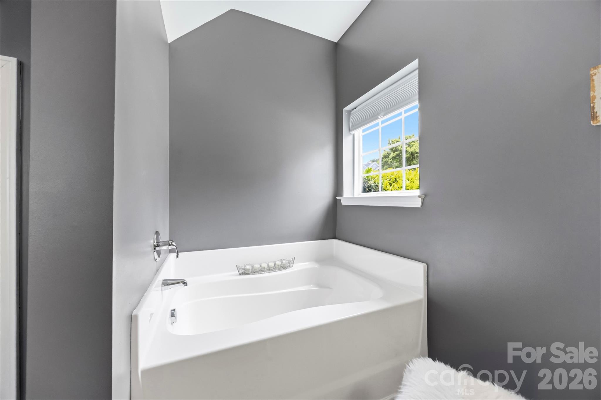 8526 Summer Serenade Drive — Huntersville