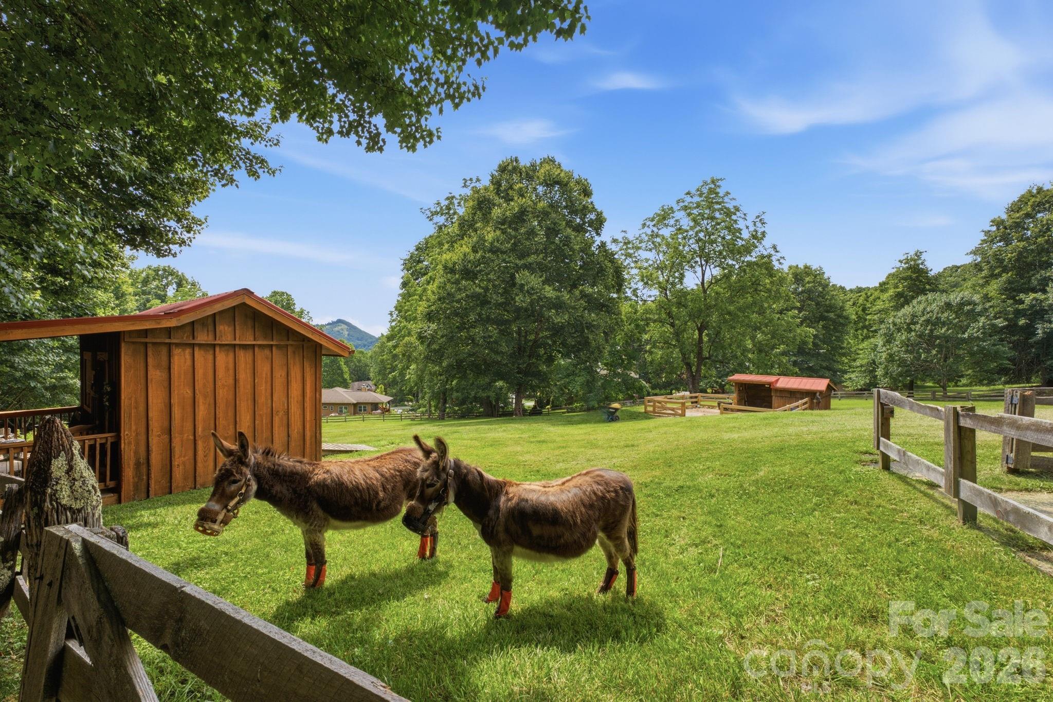 248 Brannon Forest Drive — Waynesville