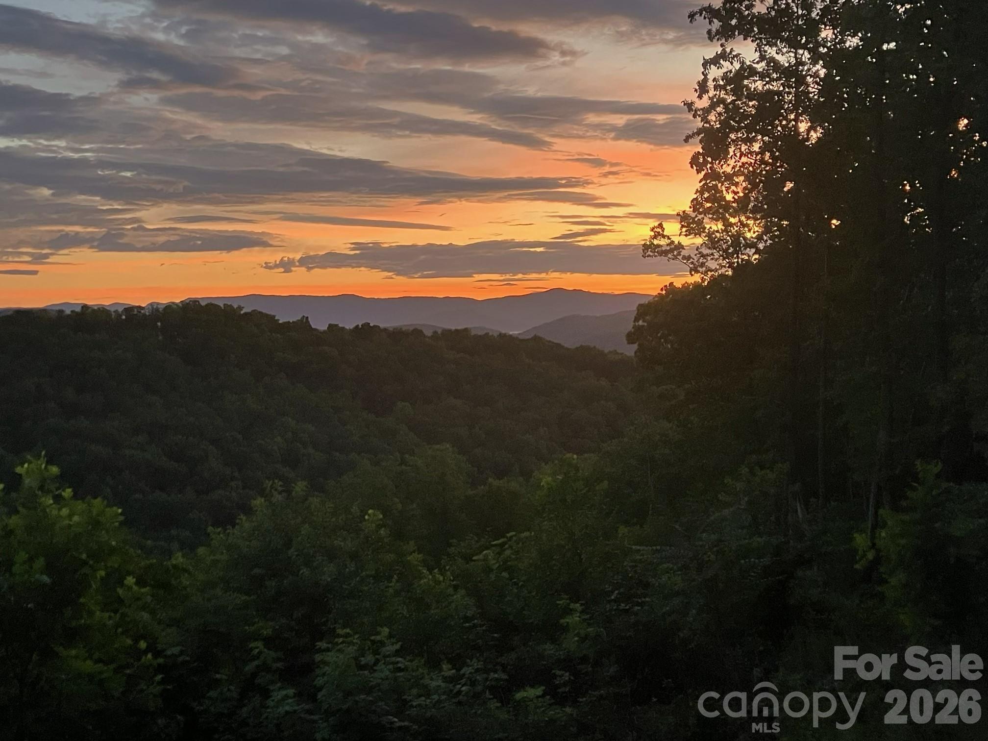 1300 Towery Trace — Ellenboro
