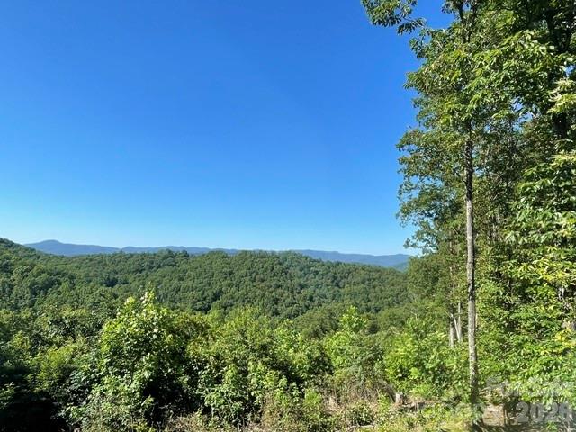 1300 Towery Trace — Ellenboro