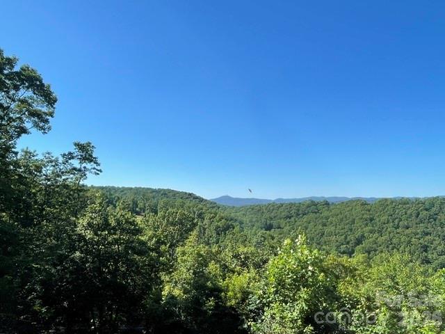 1300 Towery Trace — Ellenboro
