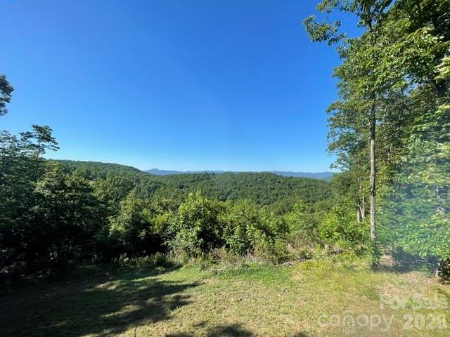 1300 Towery Trace — Ellenboro