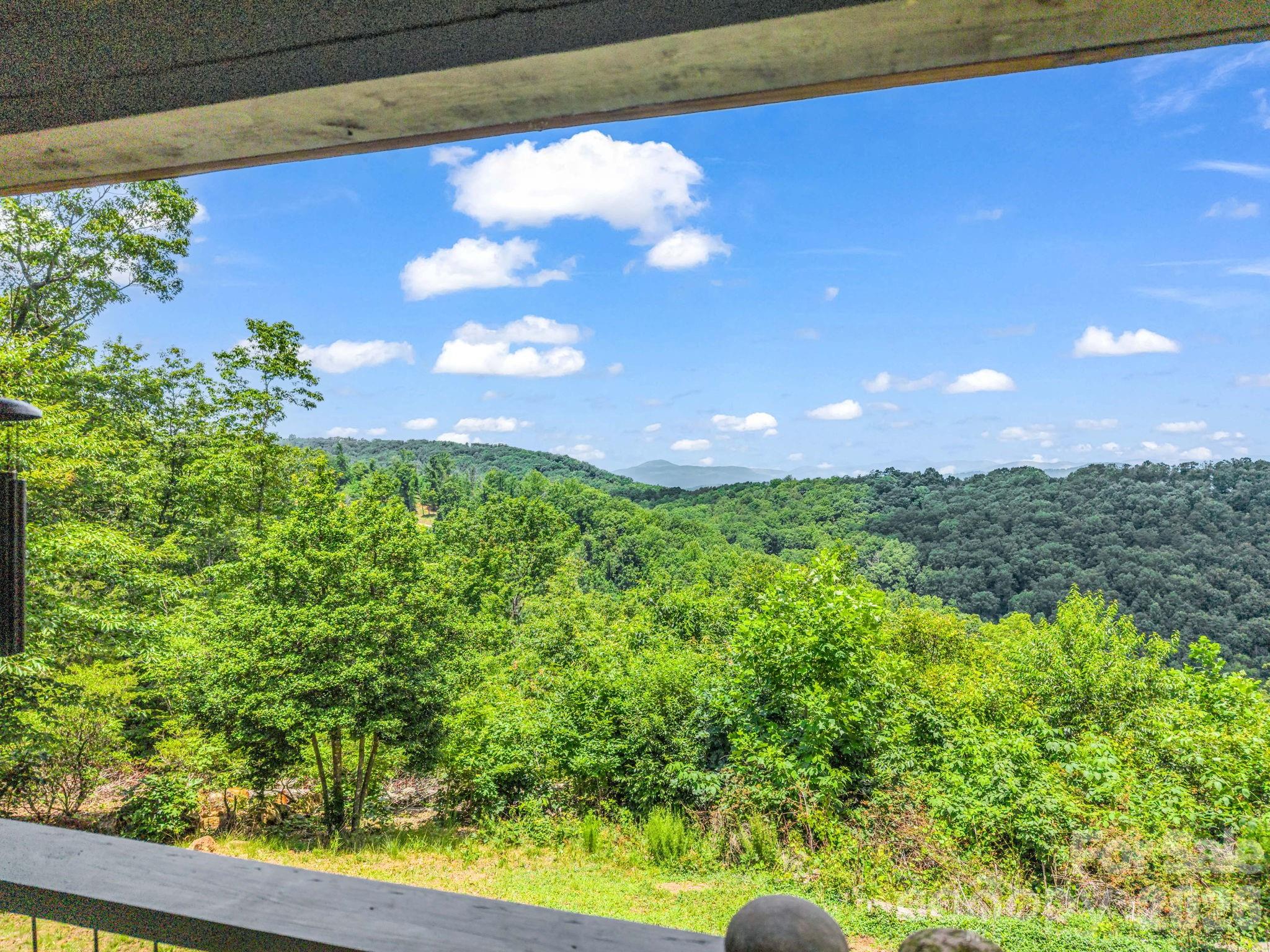 1300 Towery Trace — Ellenboro