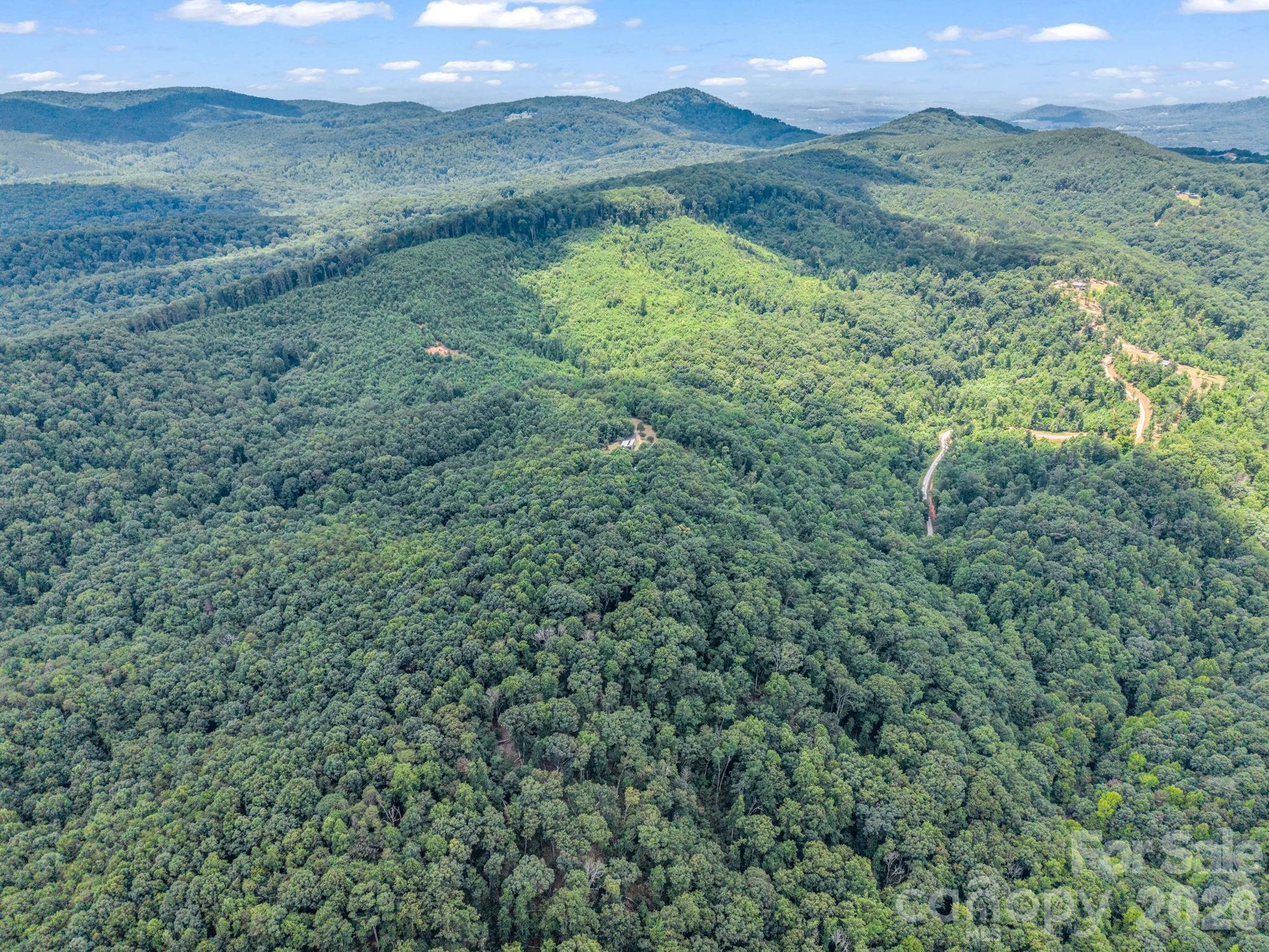 1300 Towery Trace — Ellenboro