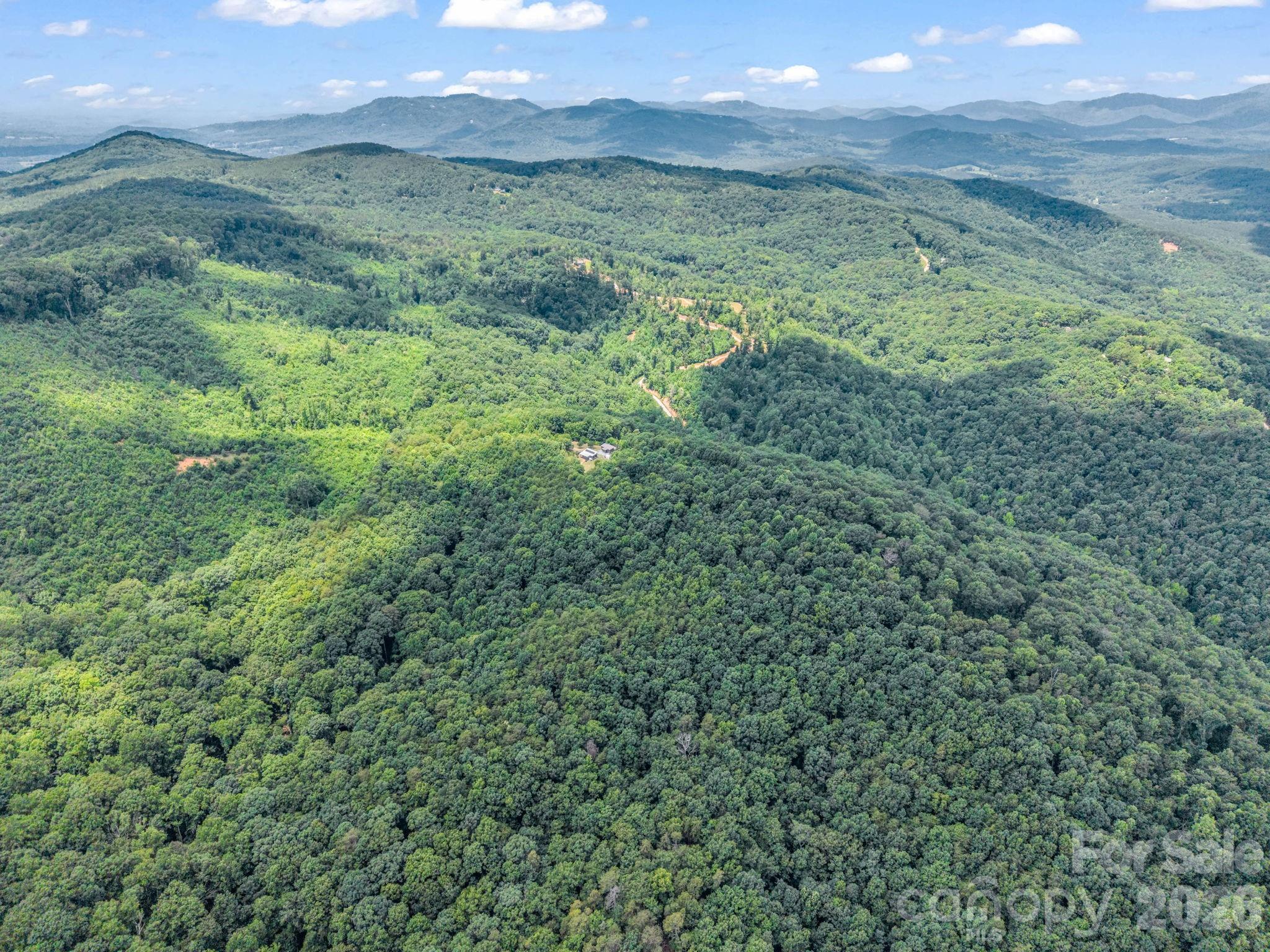1300 Towery Trace — Ellenboro