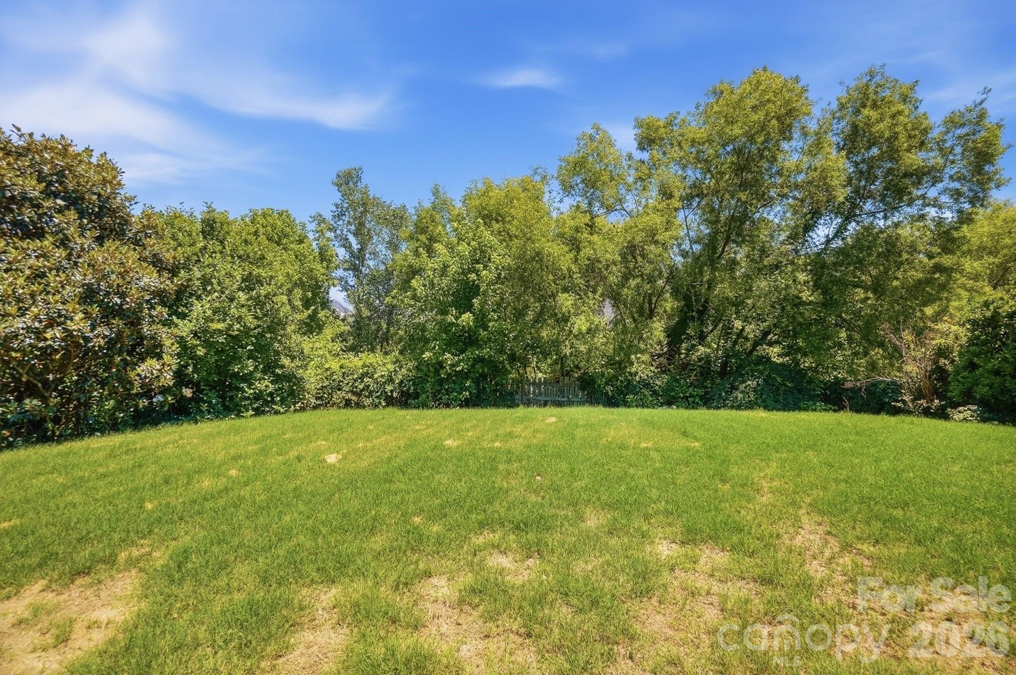 1231 Tranquil Falls Lane — Matthews