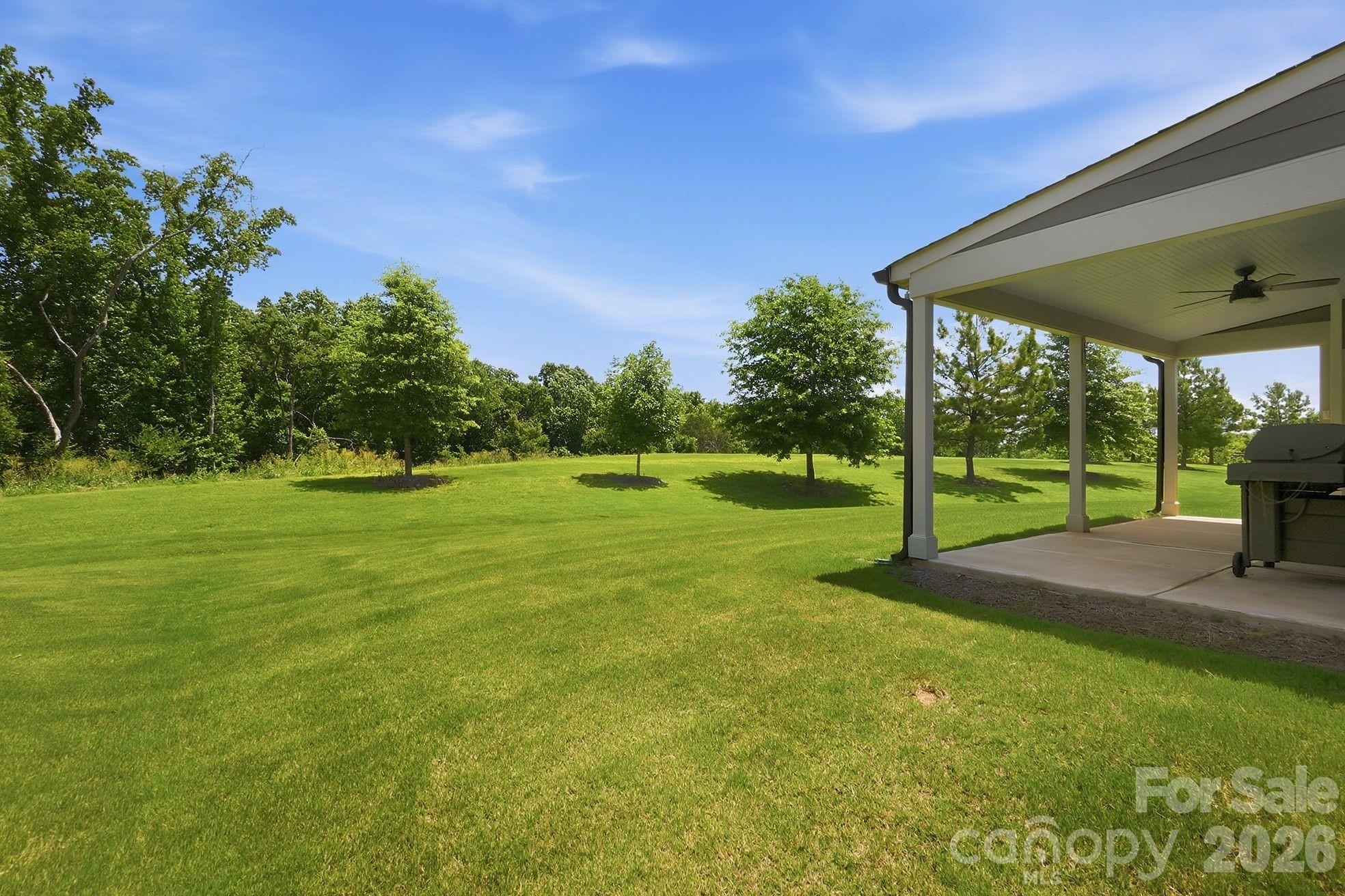 2336 Delaney Drive — Fort Mill
