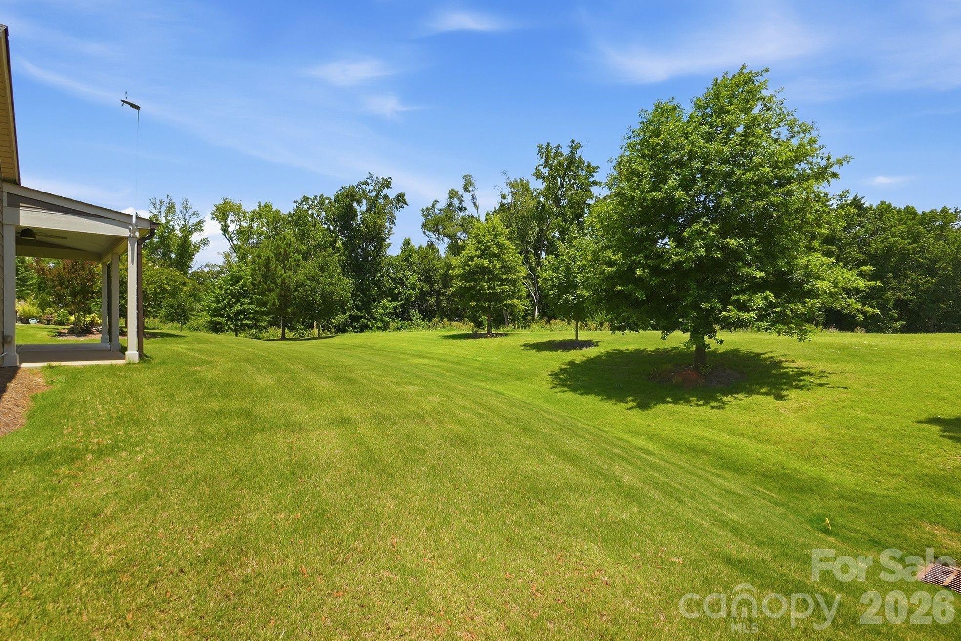 2336 Delaney Drive — Fort Mill