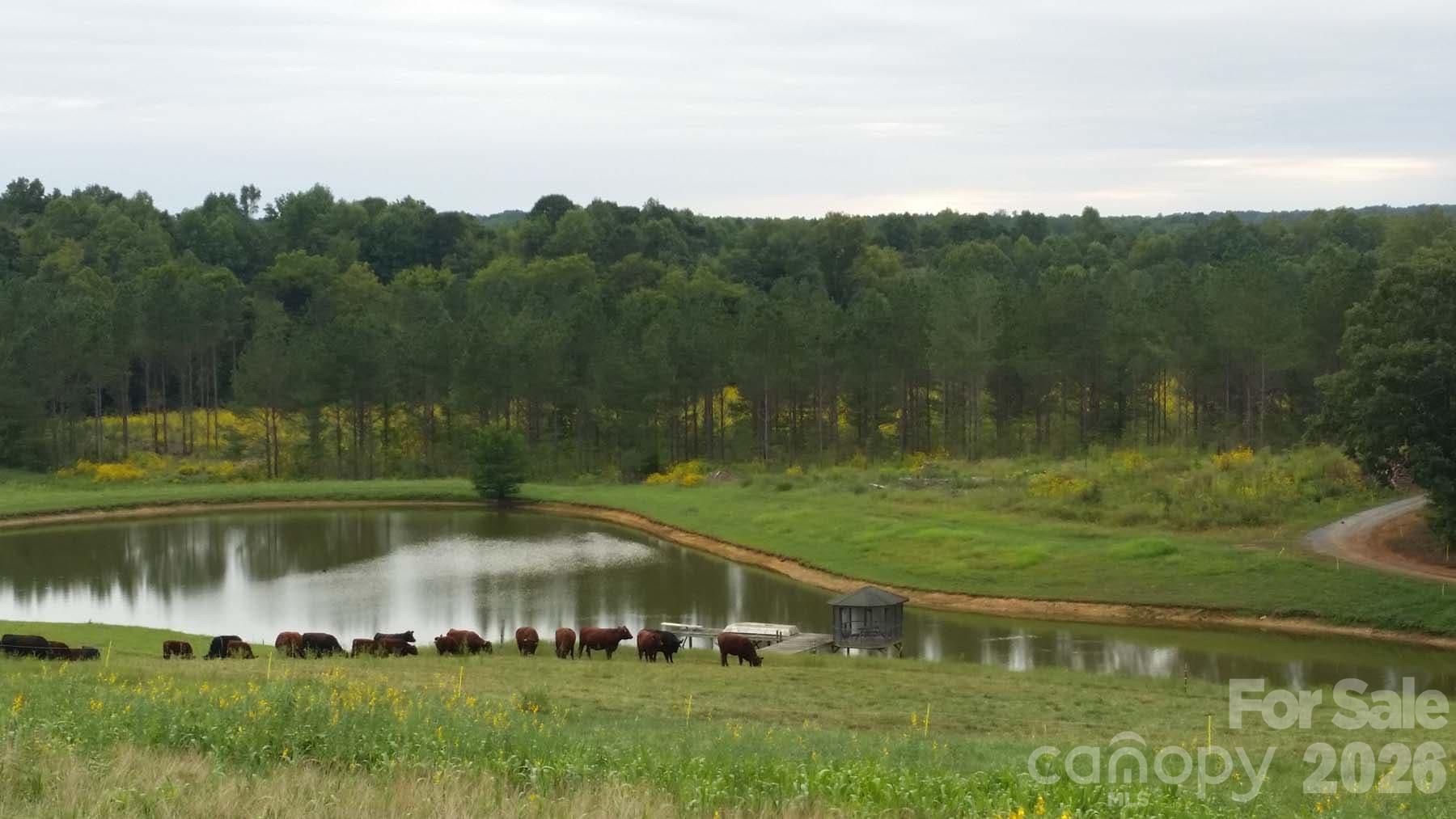 3175 Trotter Road — Asheboro