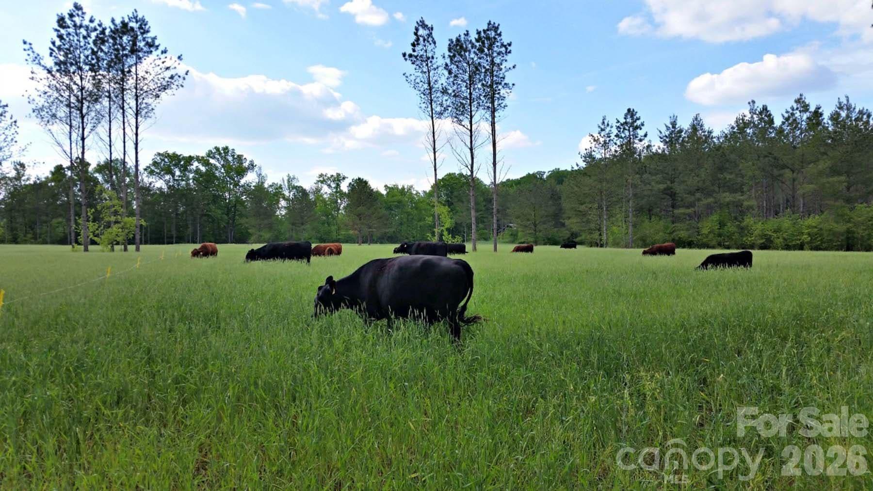 3175 Trotter Road — Asheboro