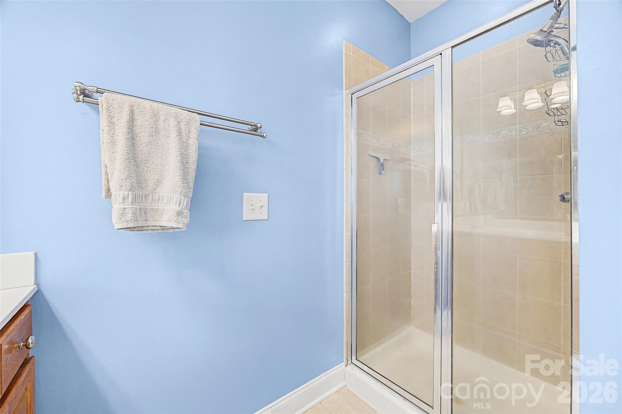 1044 Hunters Run Drive — Tega Cay
