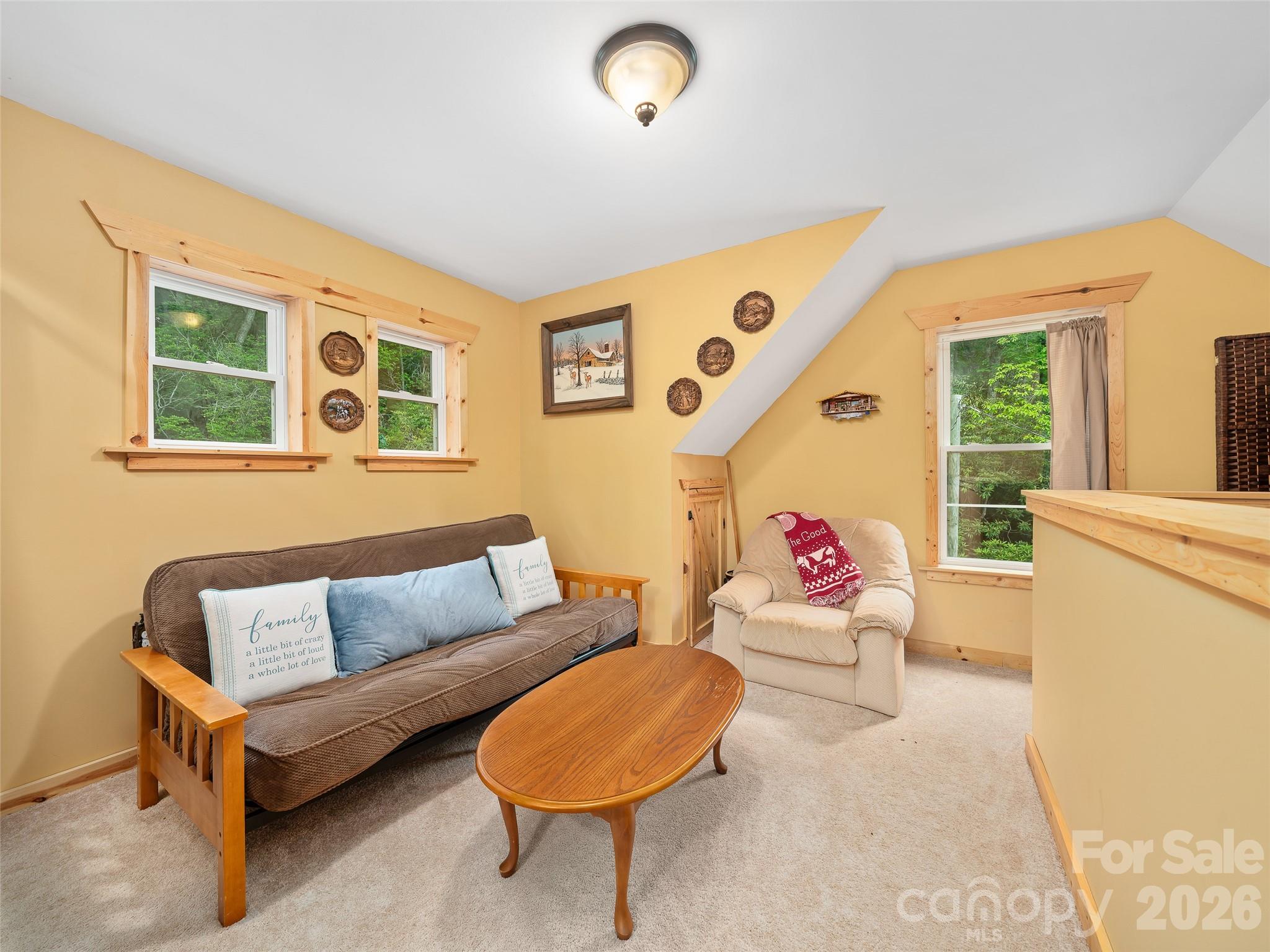 226 Orchard View Trail — Spruce Pine