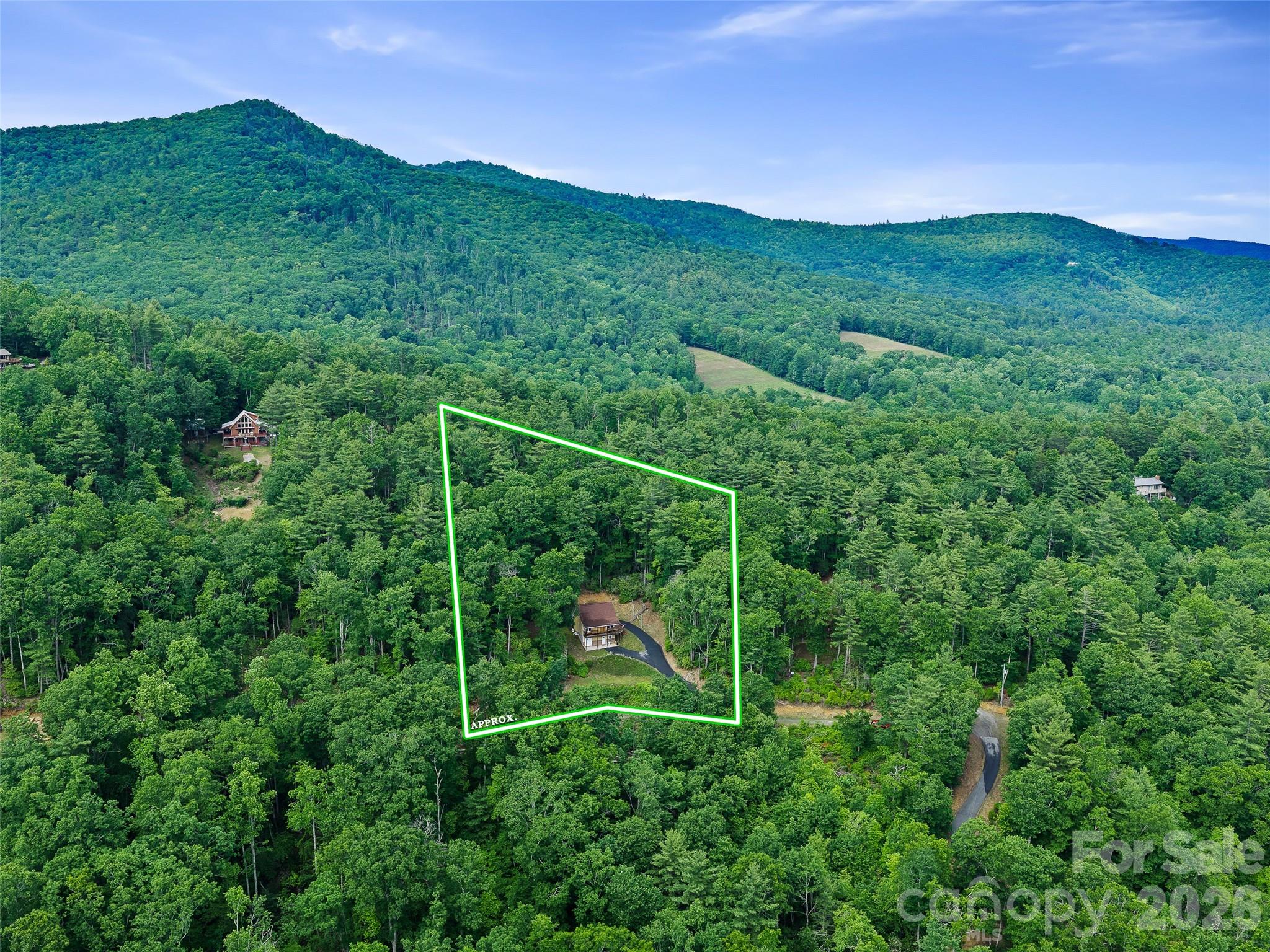 226 Orchard View Trail — Spruce Pine