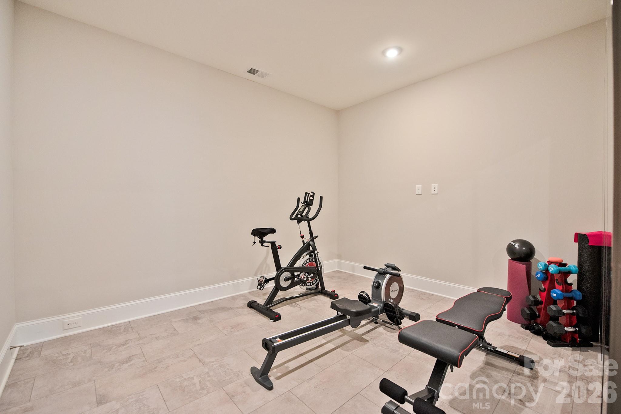 523 Griffith Village Lane — Davidson