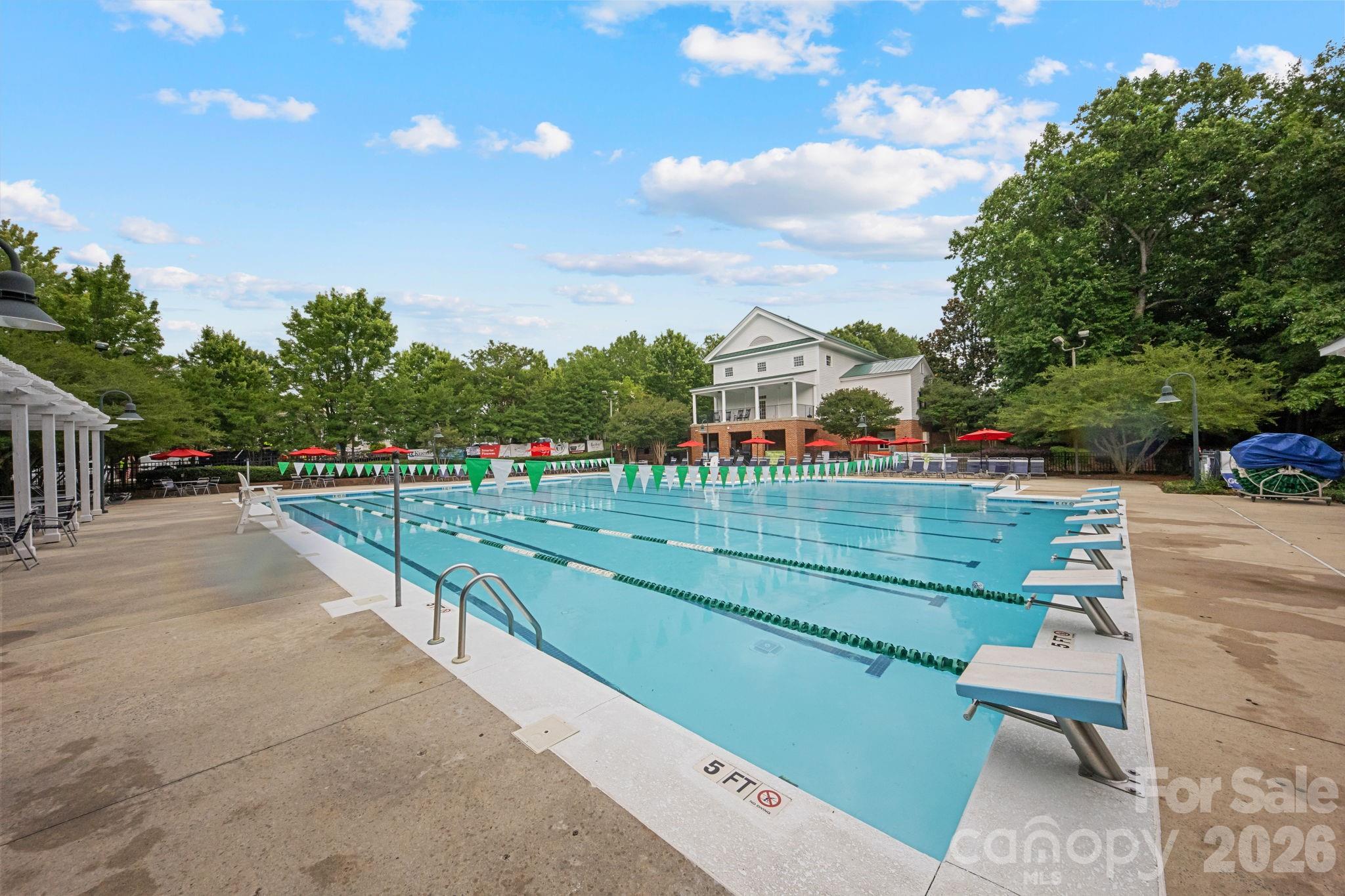 3229 Colonel Springs Way — Fort Mill
