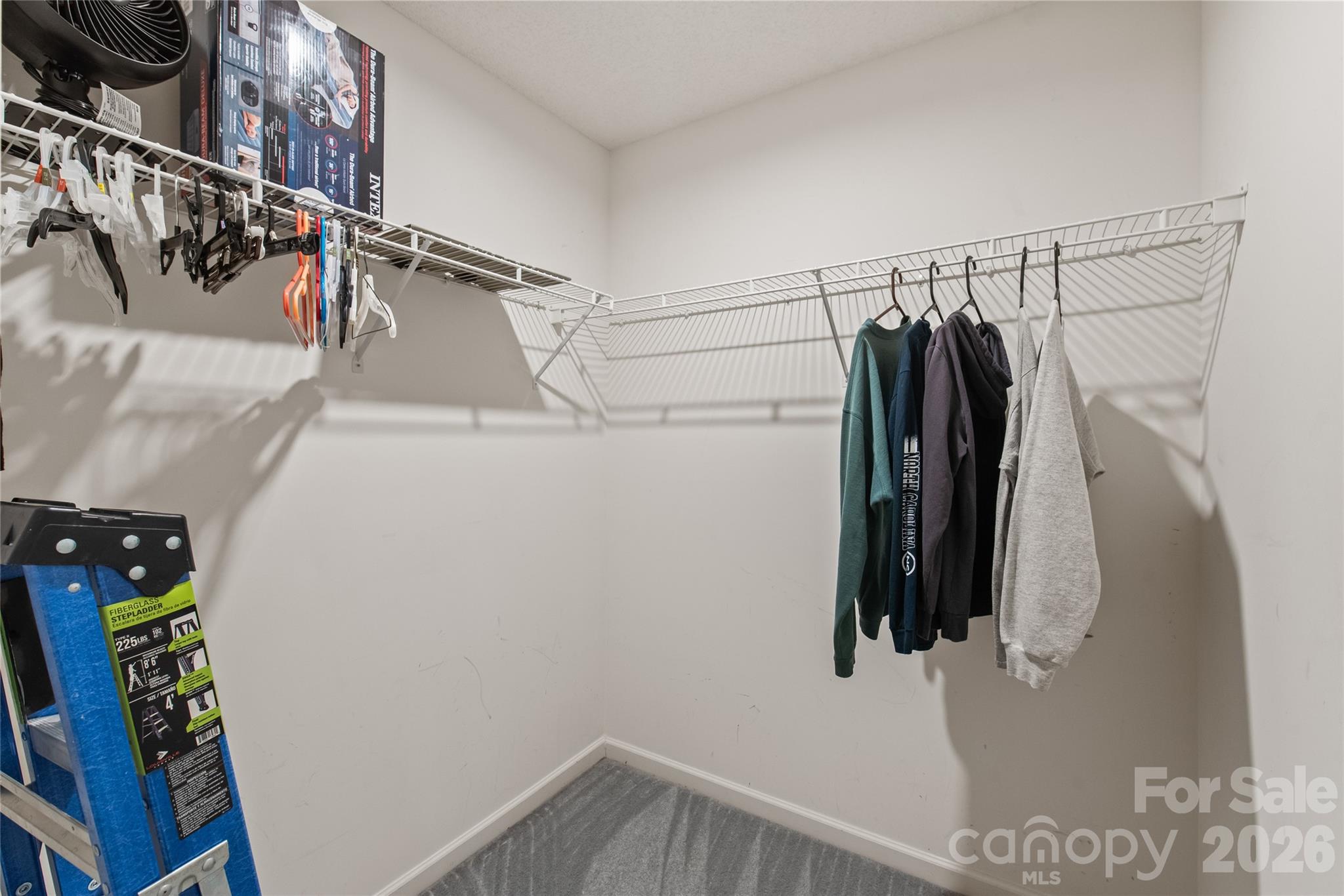 15411 Asterwind Court — Charlotte