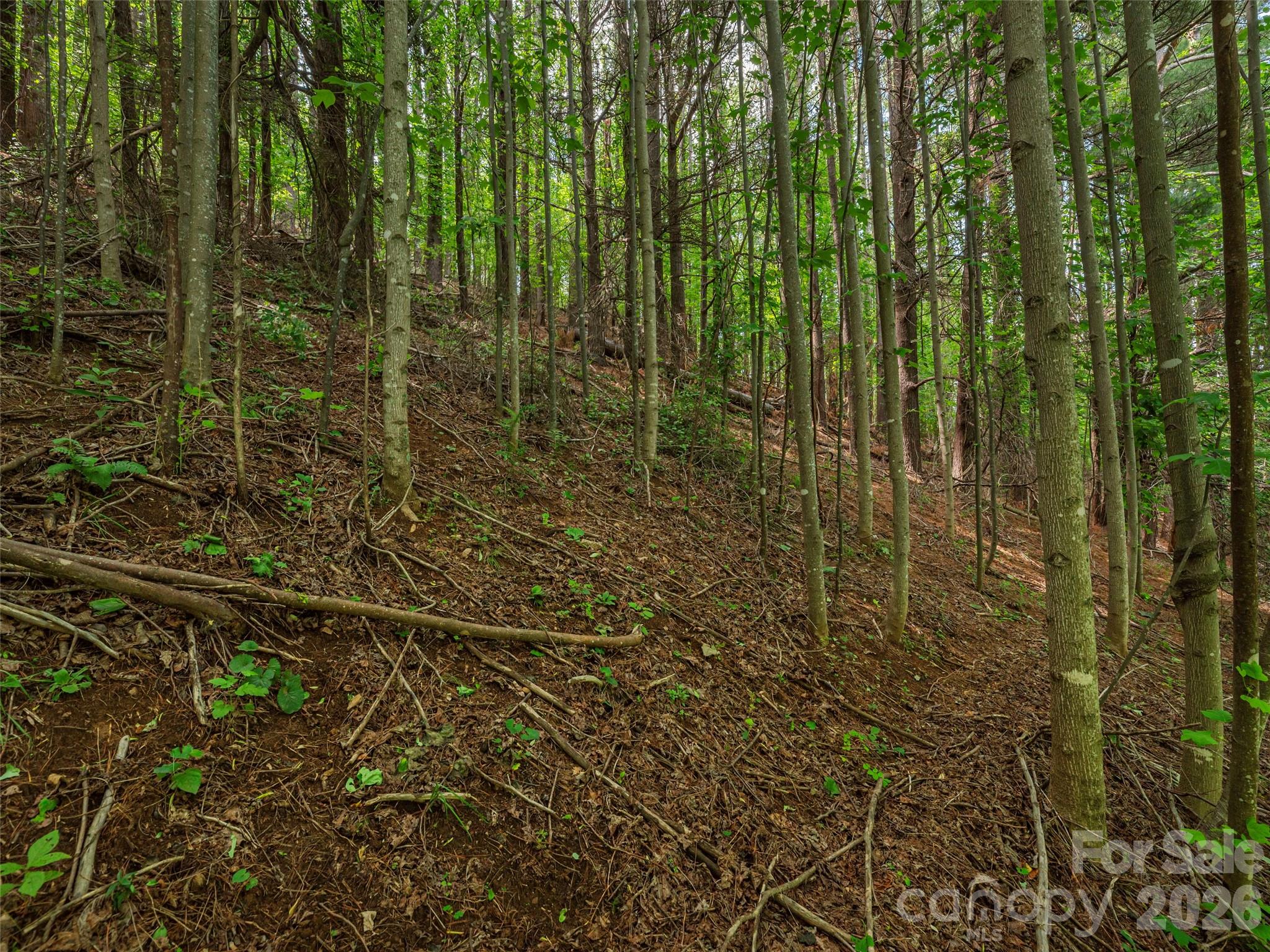 5622 Dutch Cove Road — Canton