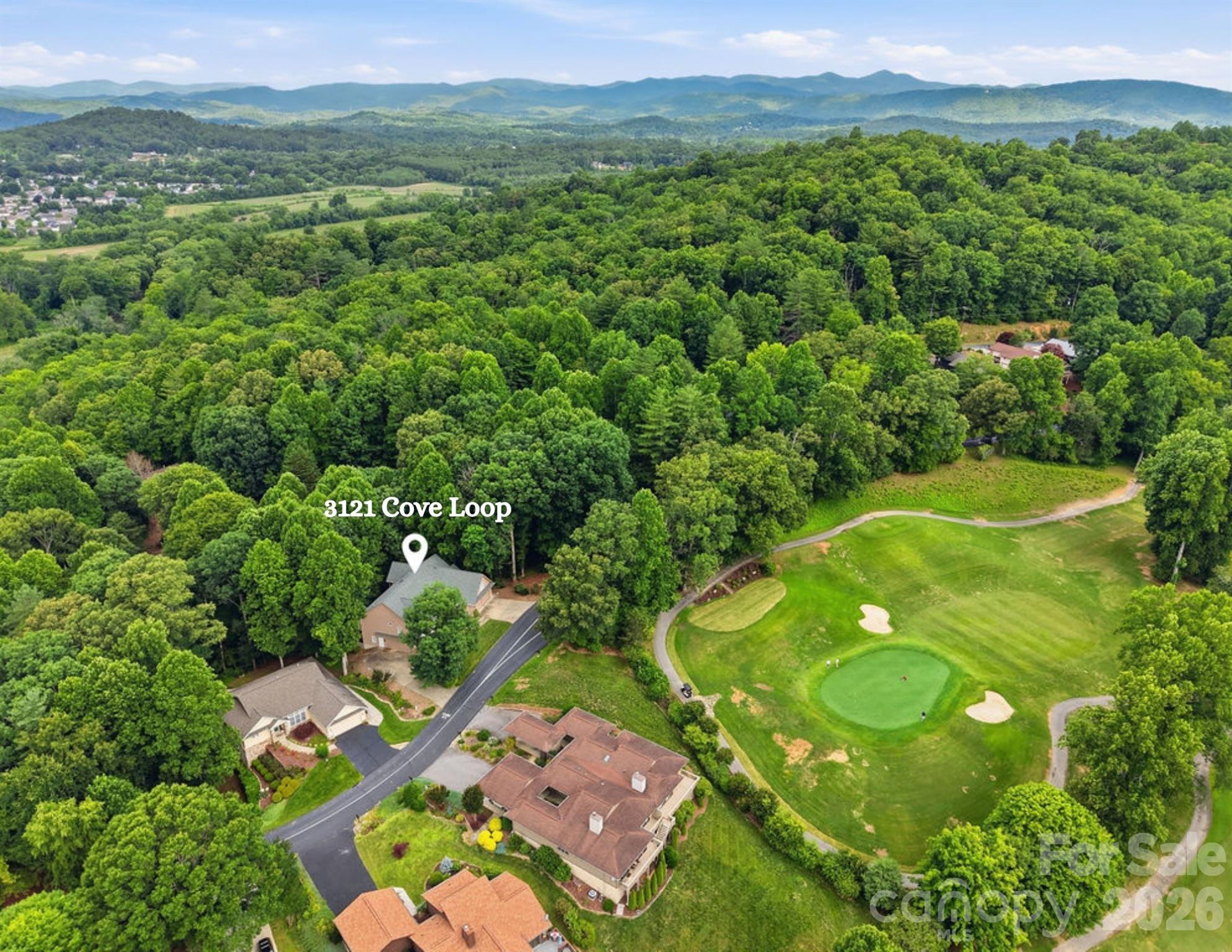 3121 Cove Loop Road — Hendersonville