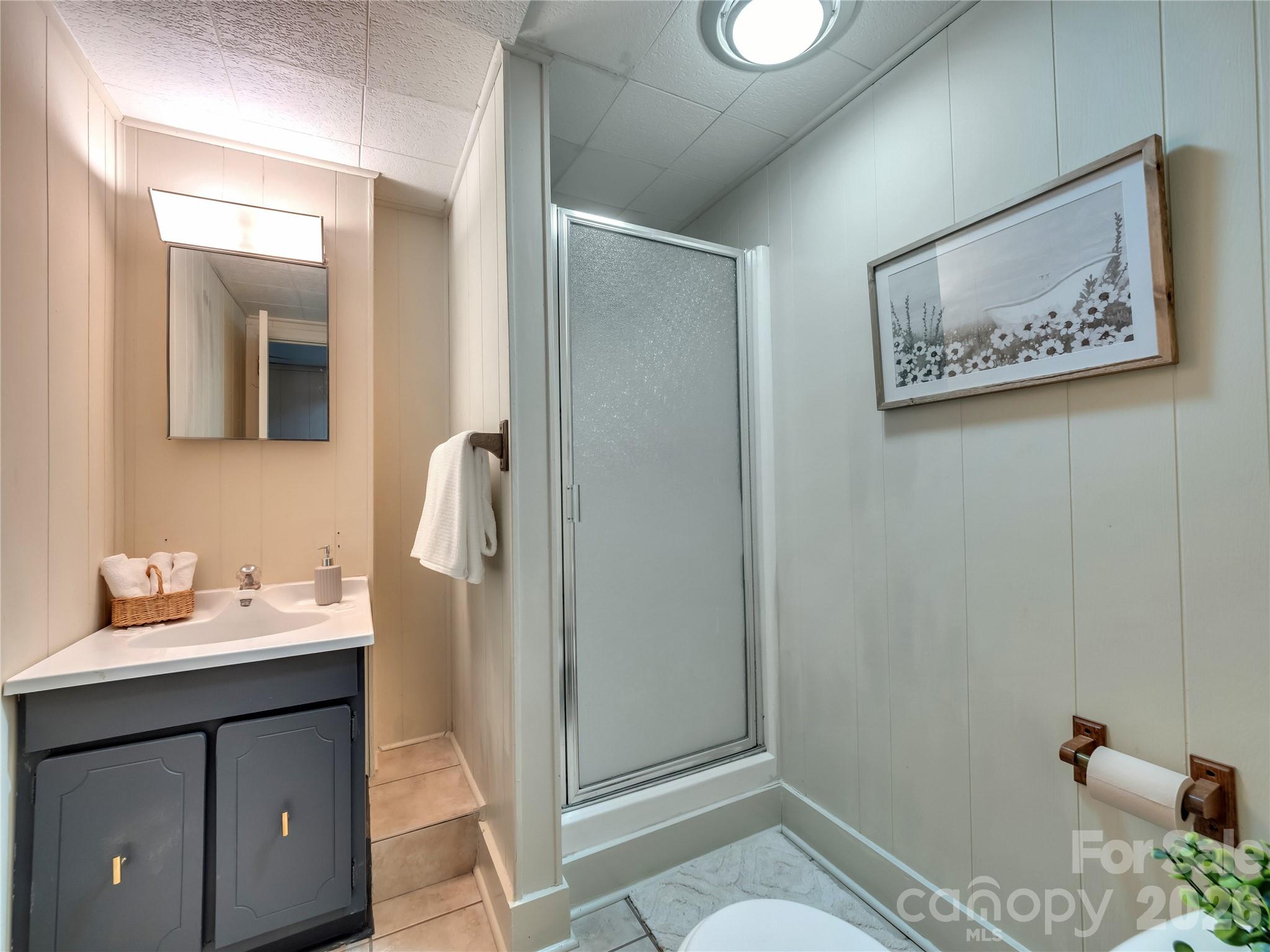 101 Upper Grouse Ridge Road — Beech Mountain