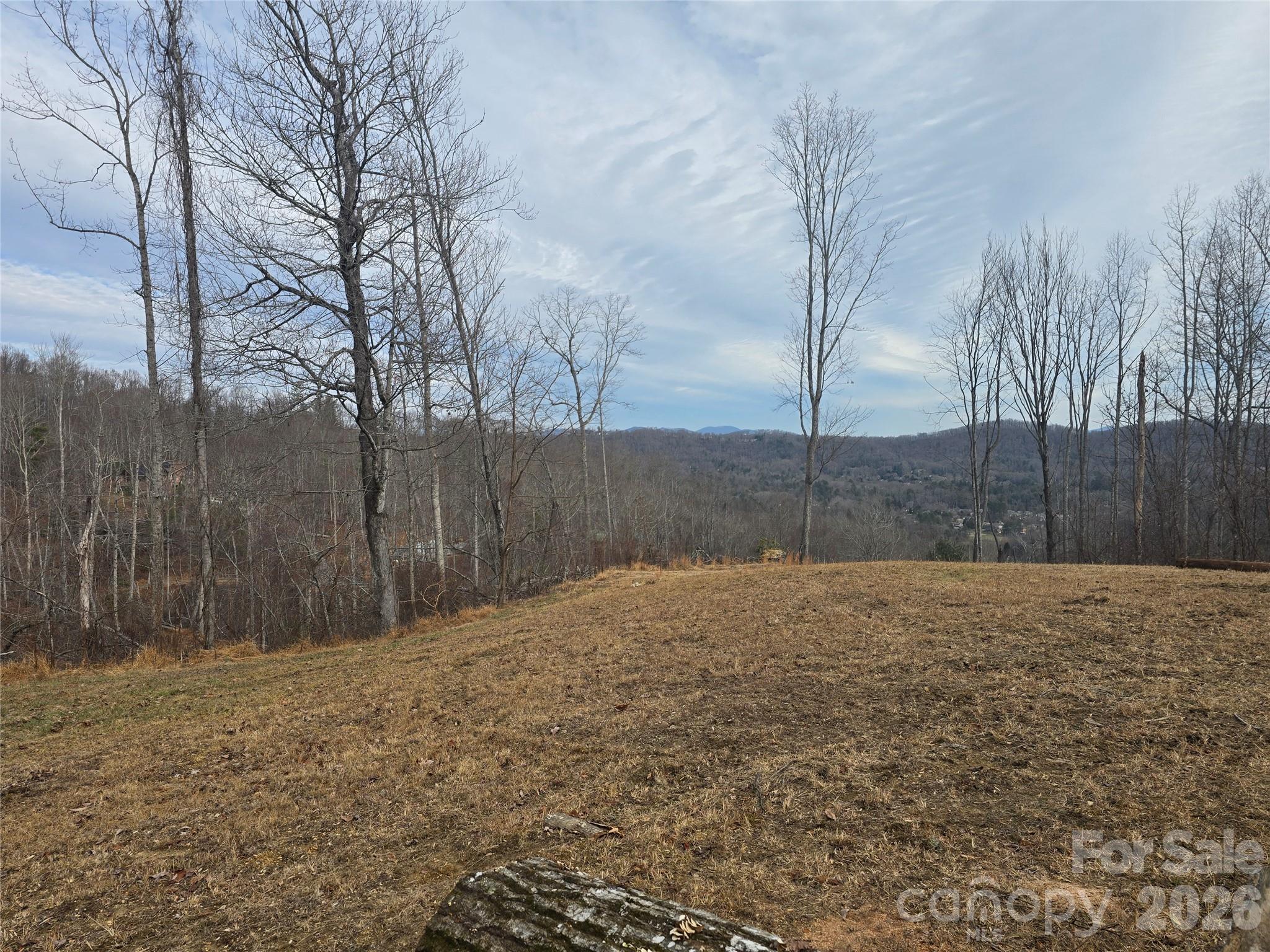 1480 Davis Mountain Road — Hendersonville