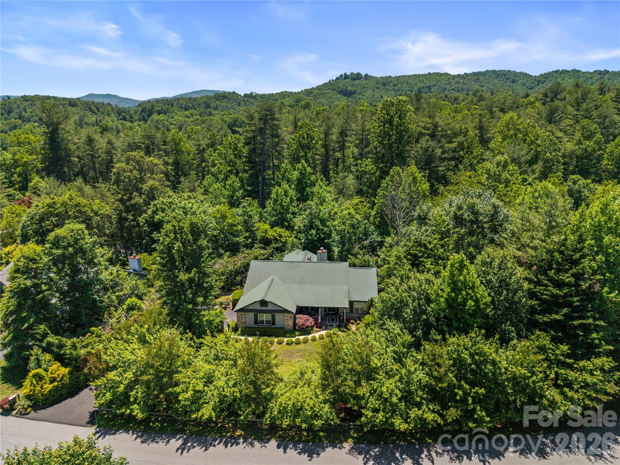 9 Tall Pines Road — Hendersonville