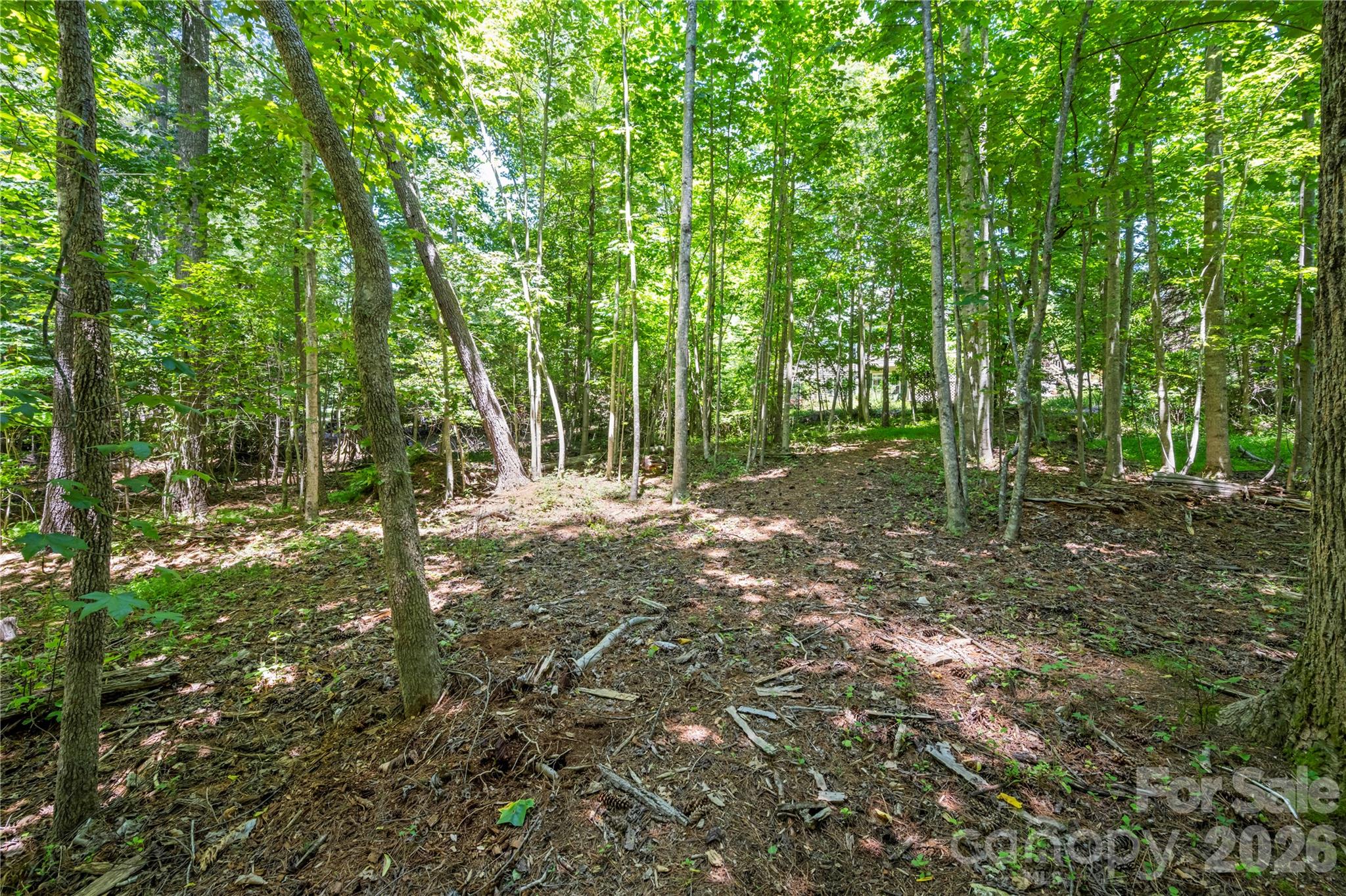 9 Tall Pines Road — Hendersonville