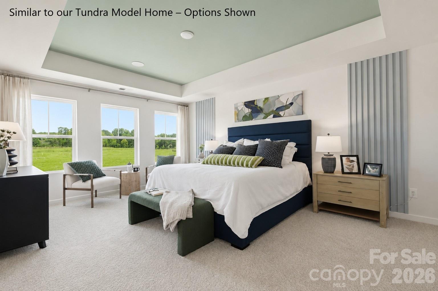 6063 White Aster Lane — Charlotte