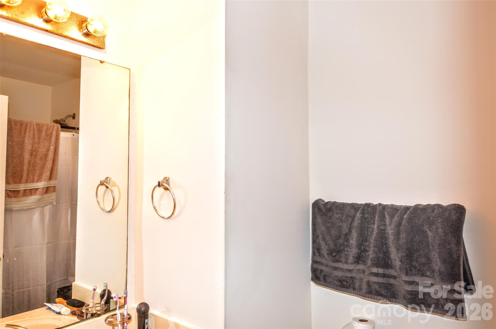 1131 Hannah Rae Court — Charlotte