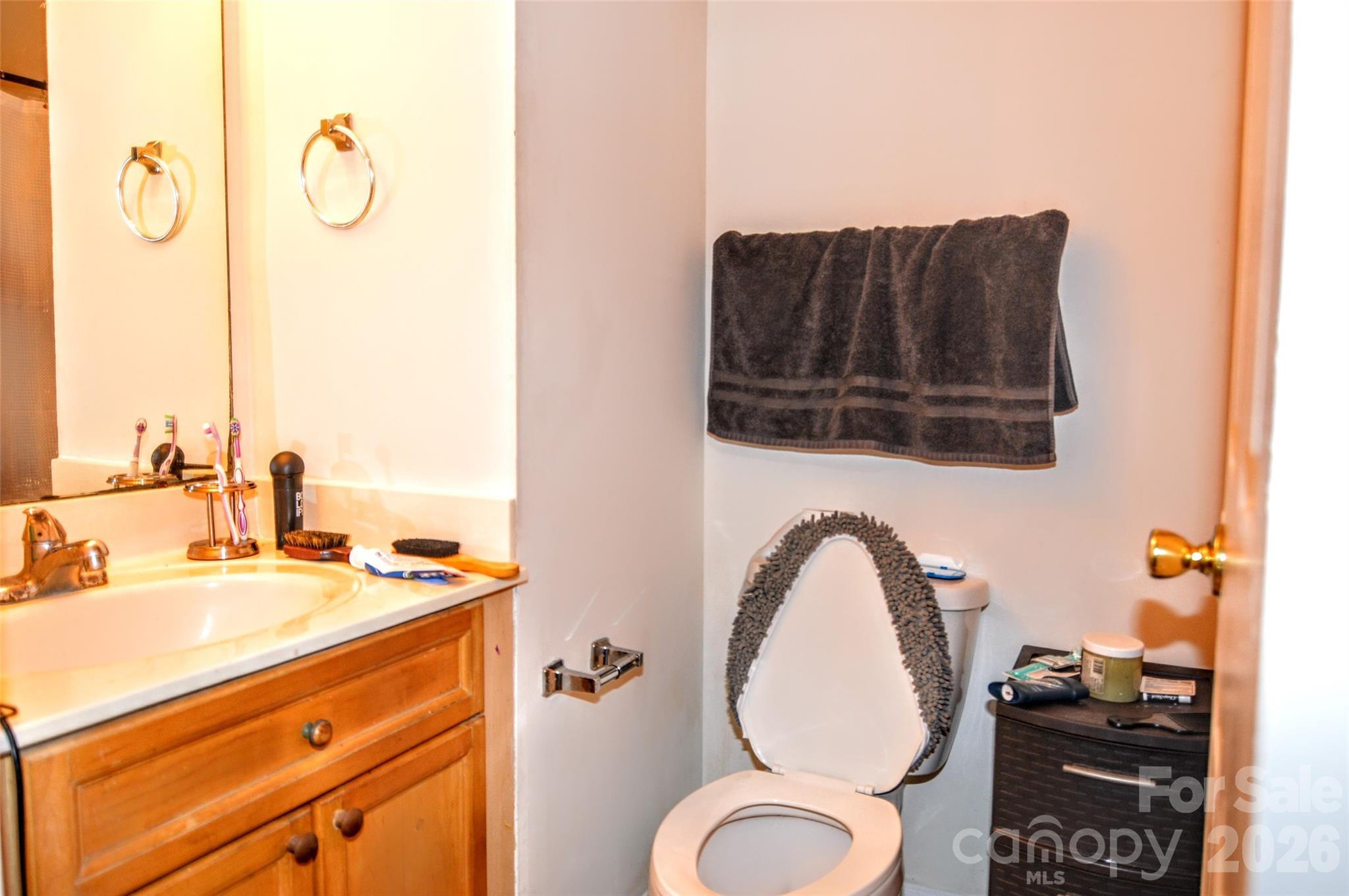 1131 Hannah Rae Court — Charlotte