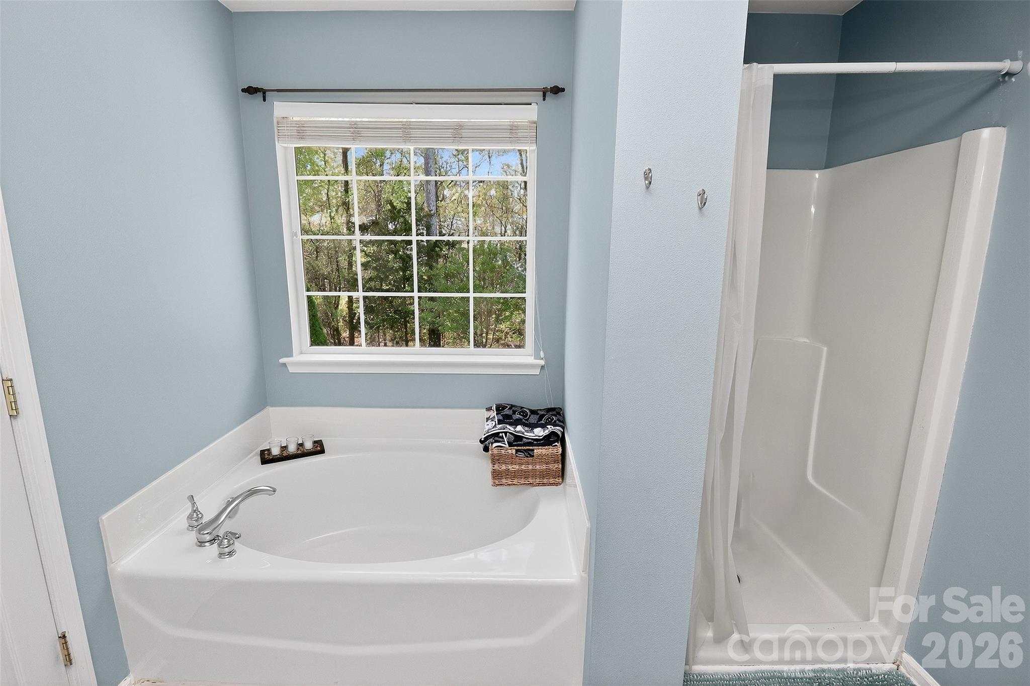 17126 Cambridge Woods Court — Charlotte