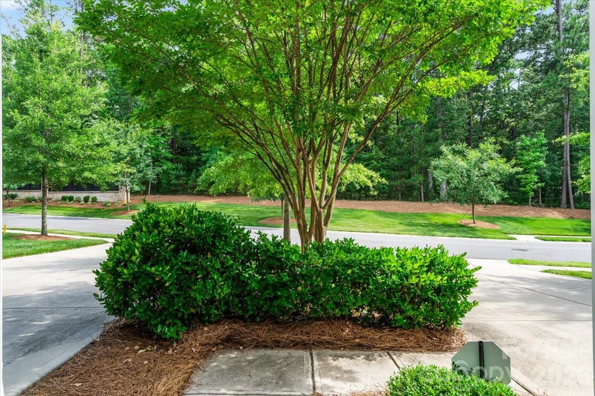 6040 Artigas Drive — Fort Mill