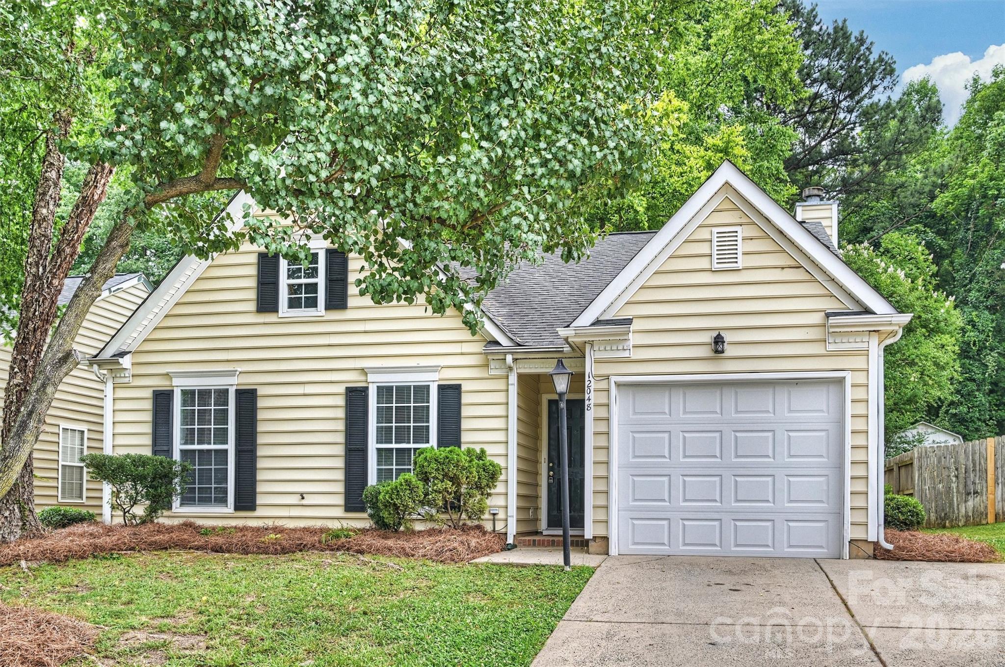 12048 Brownestone View Drive — Charlotte