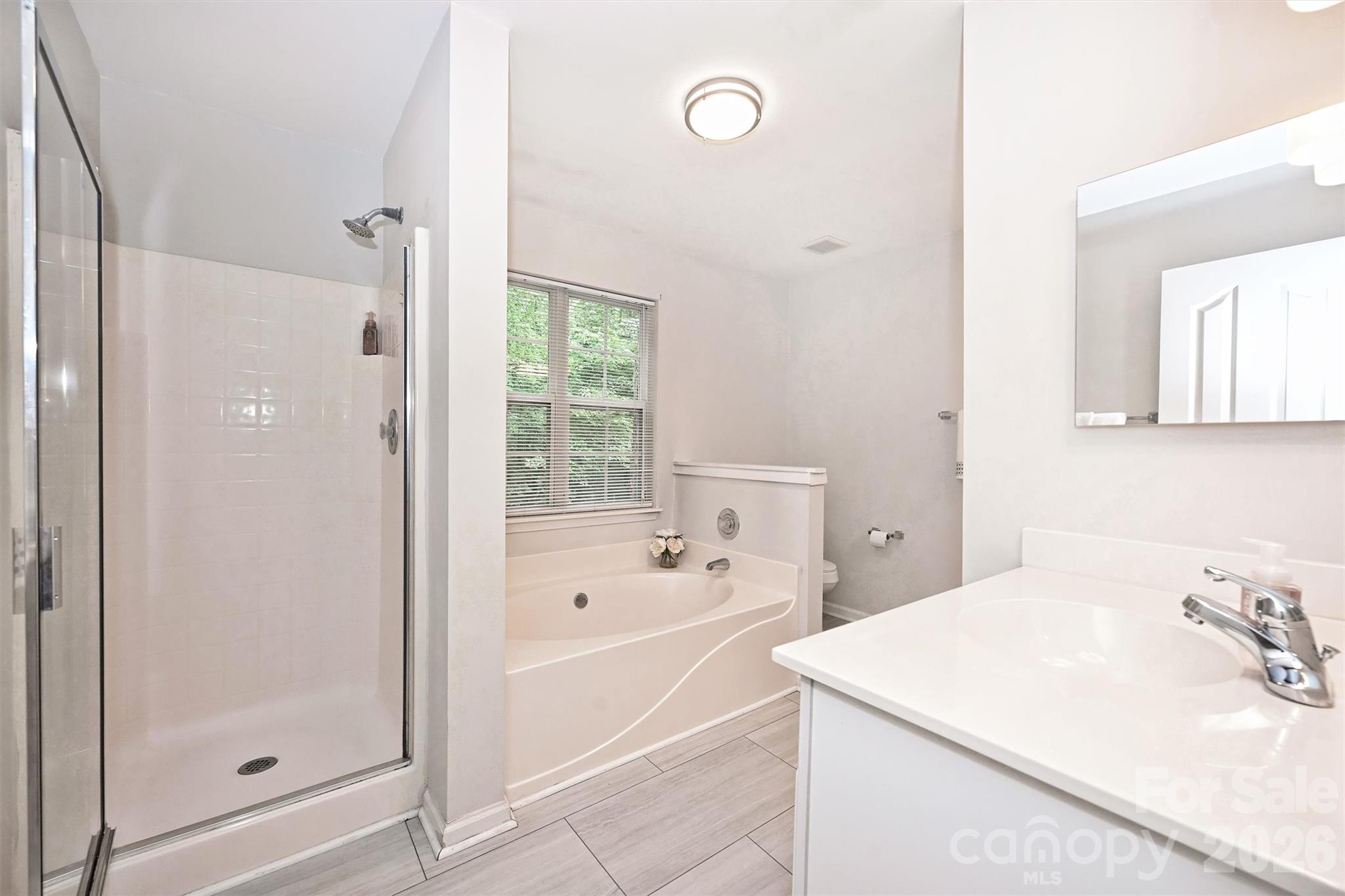 12048 Brownestone View Drive — Charlotte