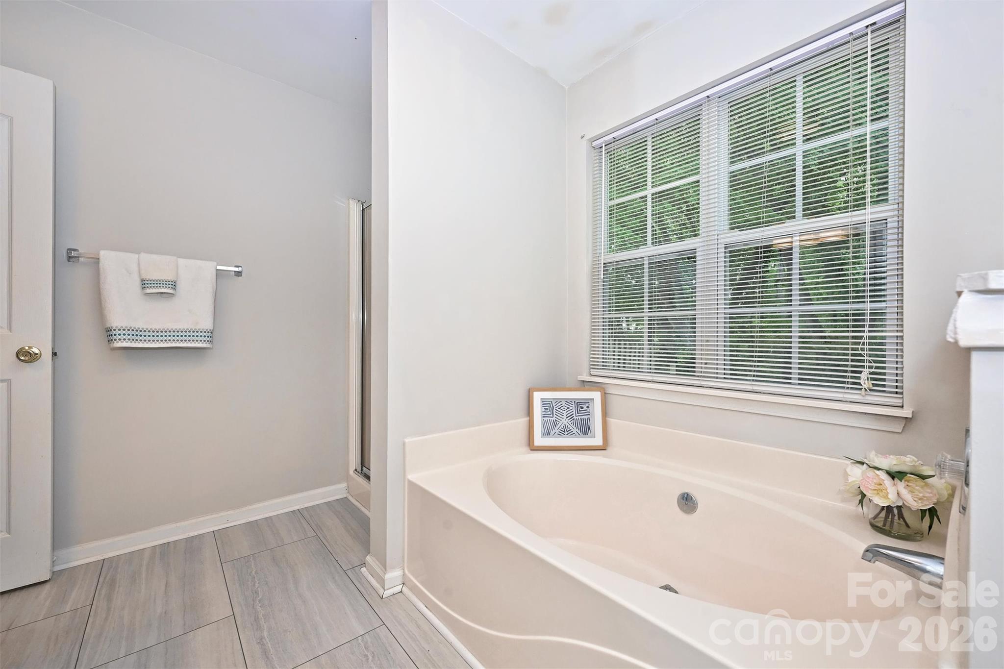 12048 Brownestone View Drive — Charlotte