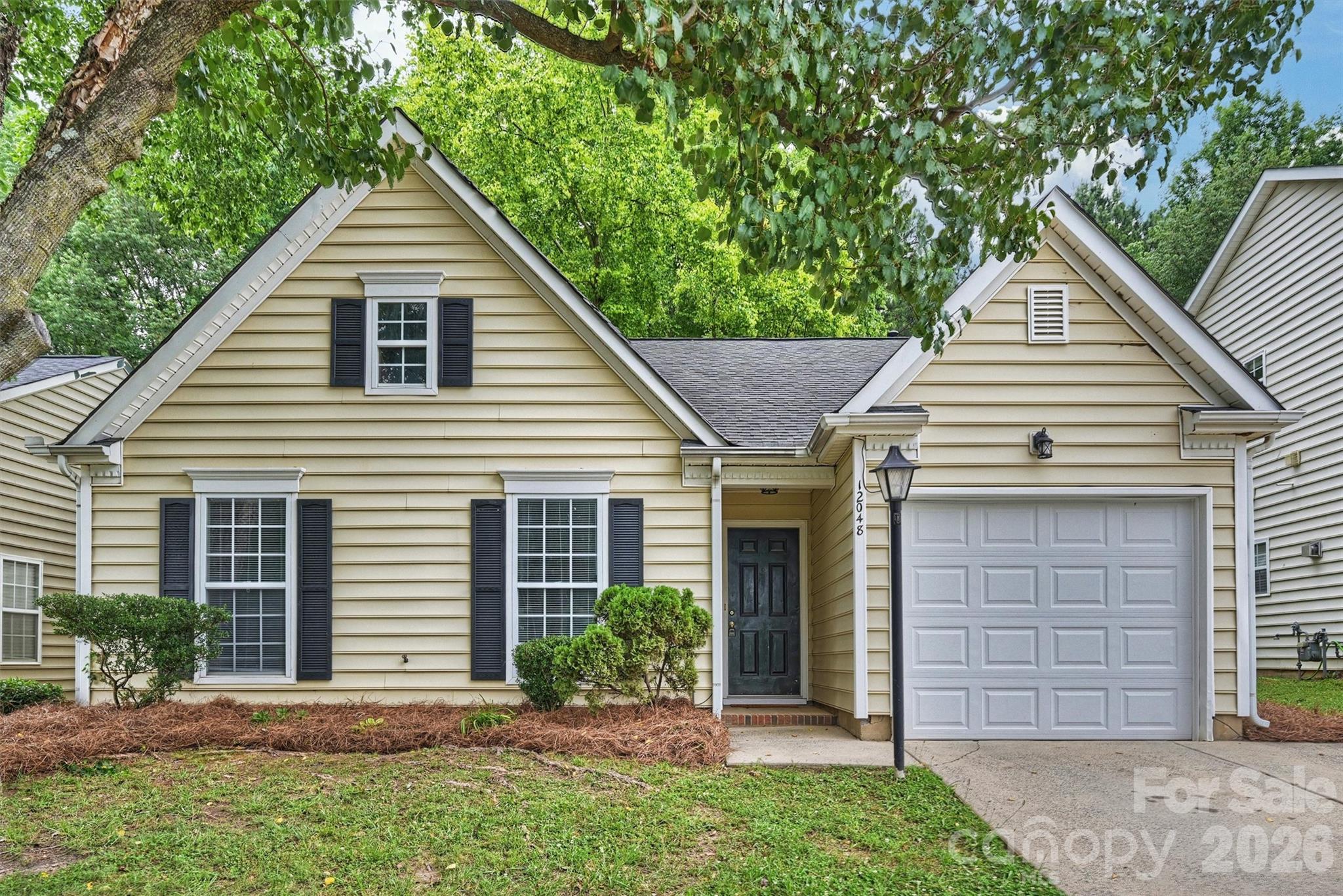 12048 Brownestone View Drive — Charlotte