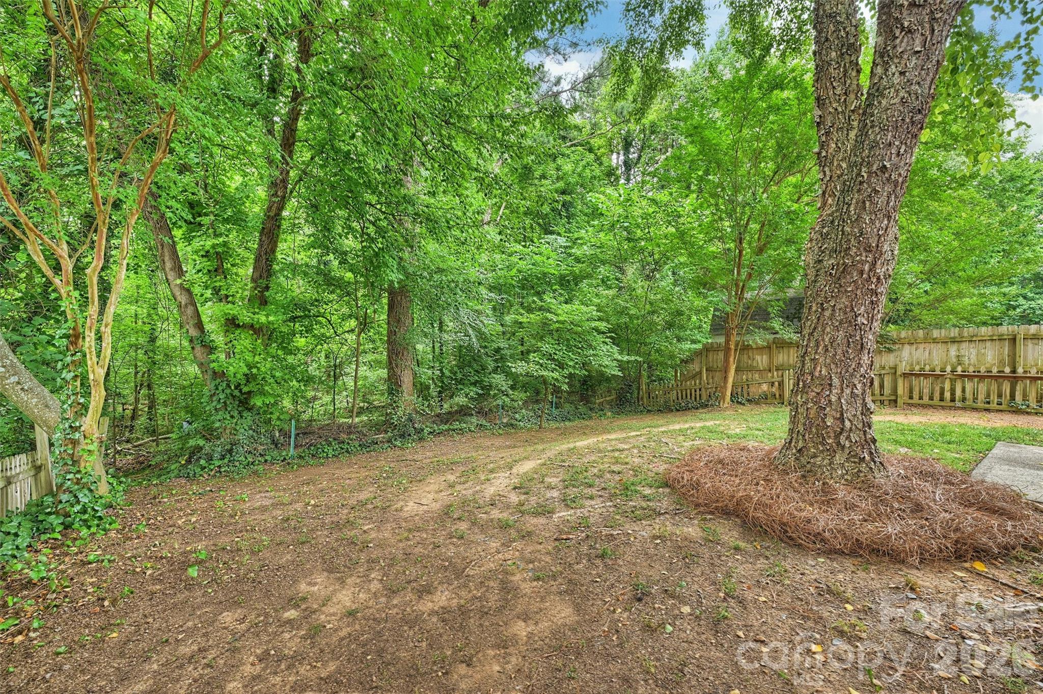 12048 Brownestone View Drive — Charlotte