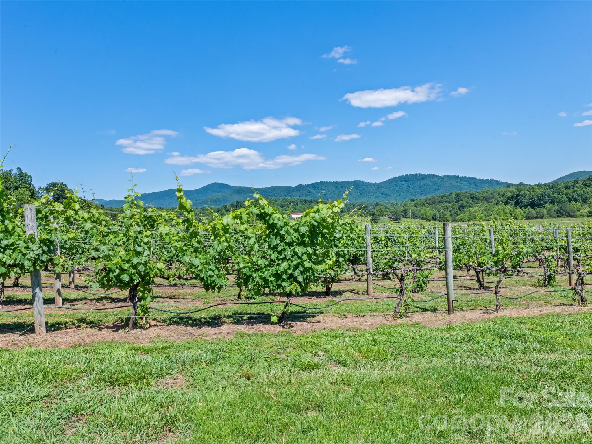 1418 Landis Lane — Nebo