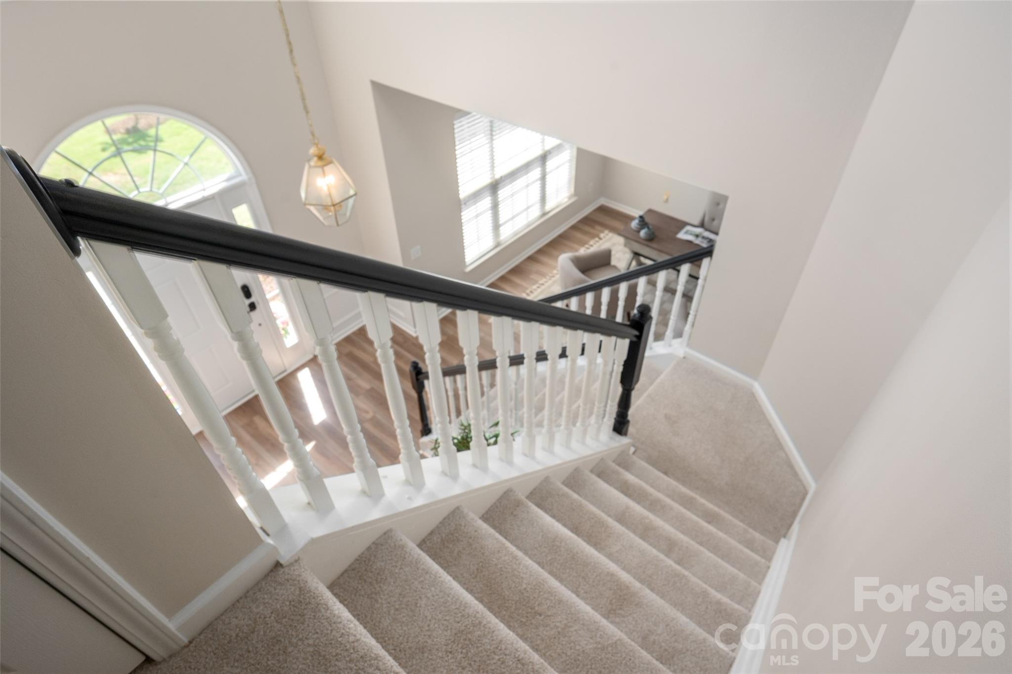 8518 Dennington Grove Lane — Charlotte