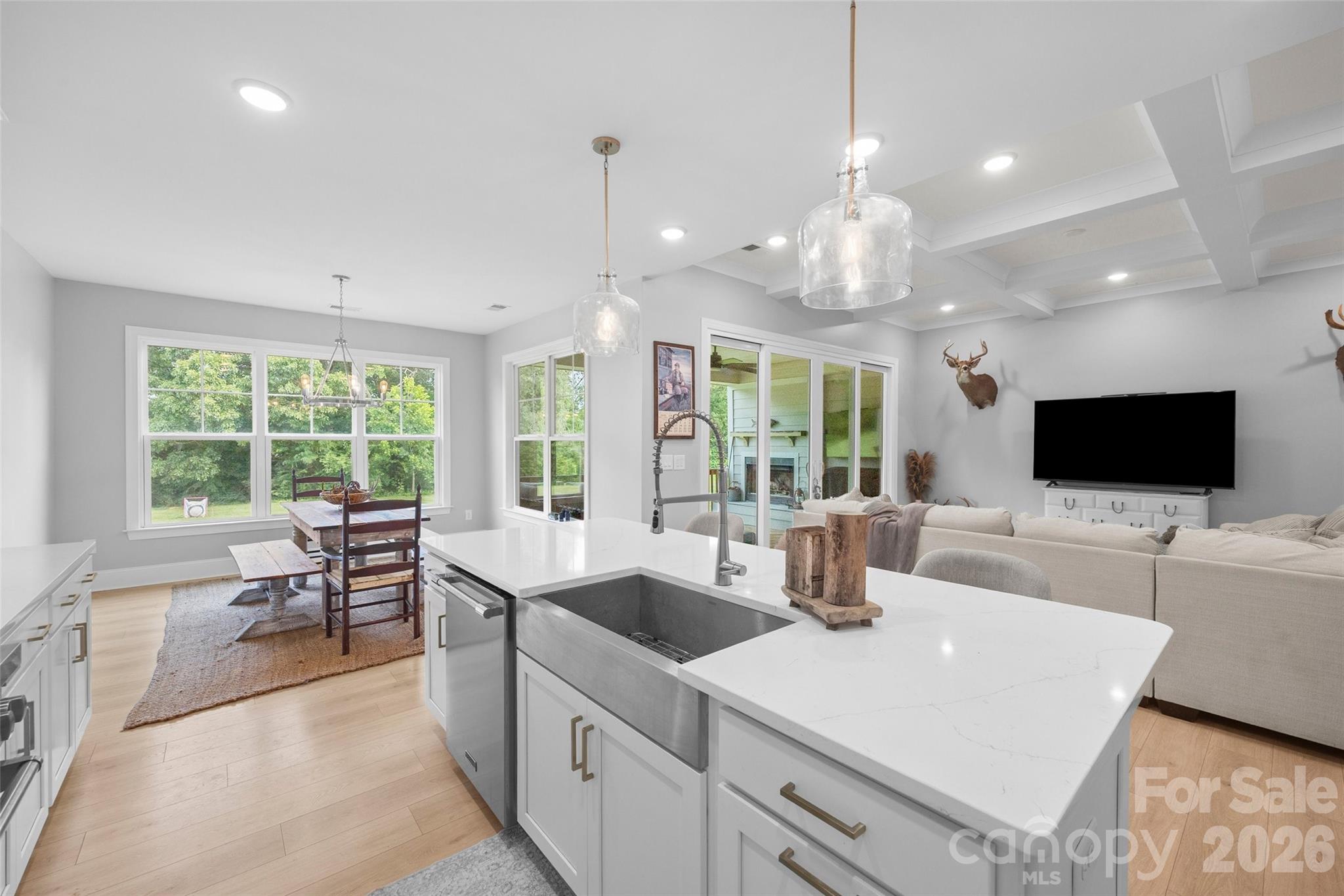 172 Triple Ponds Court — Clover