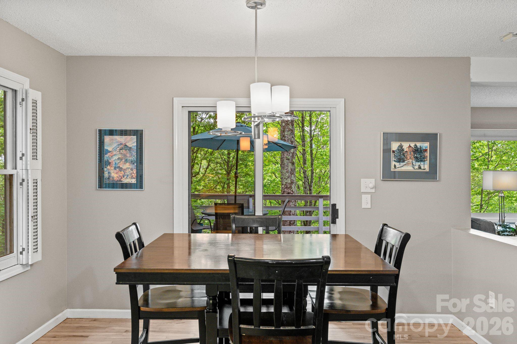 58 Sourwood Drive — Mills River
