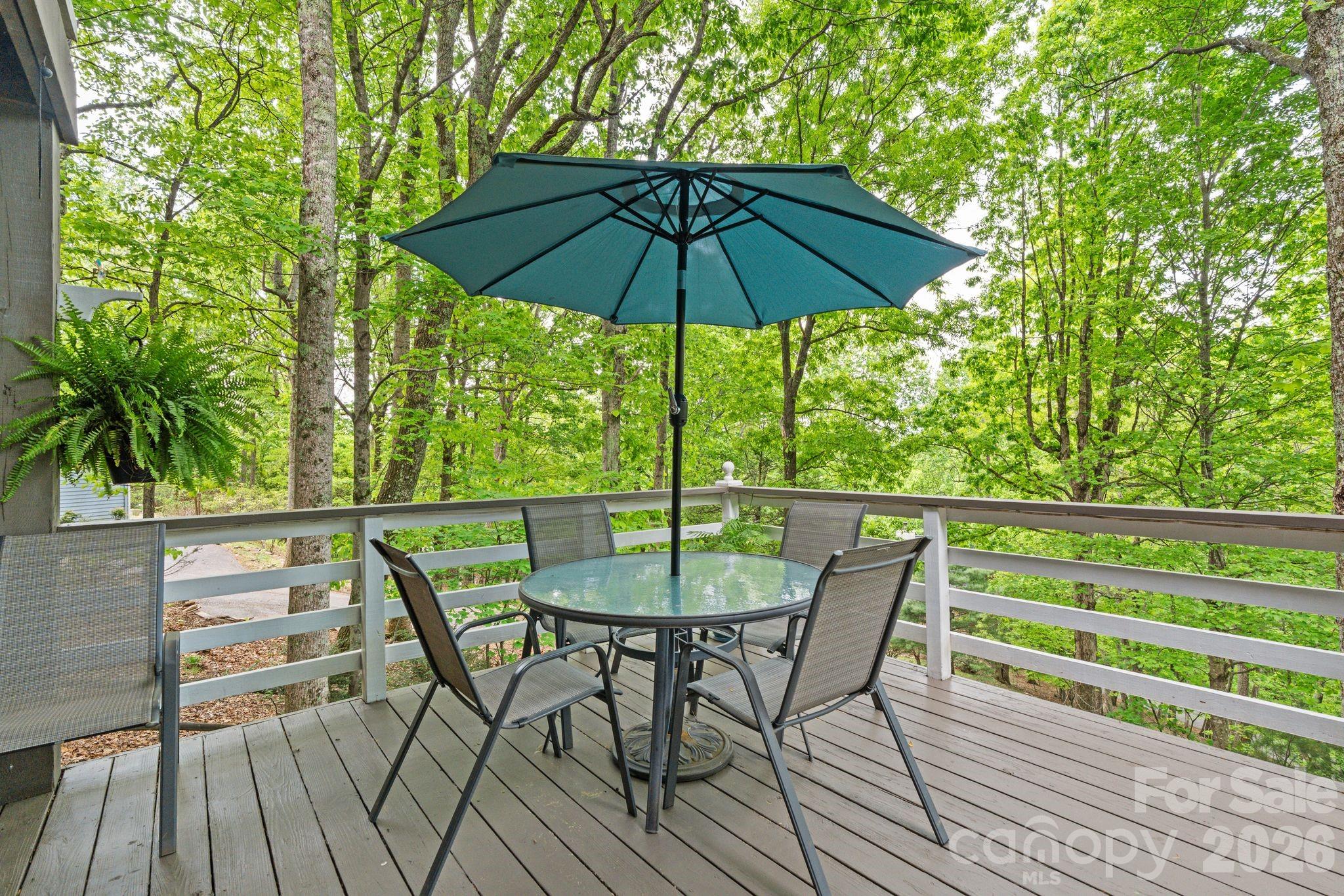 58 Sourwood Drive — Mills River