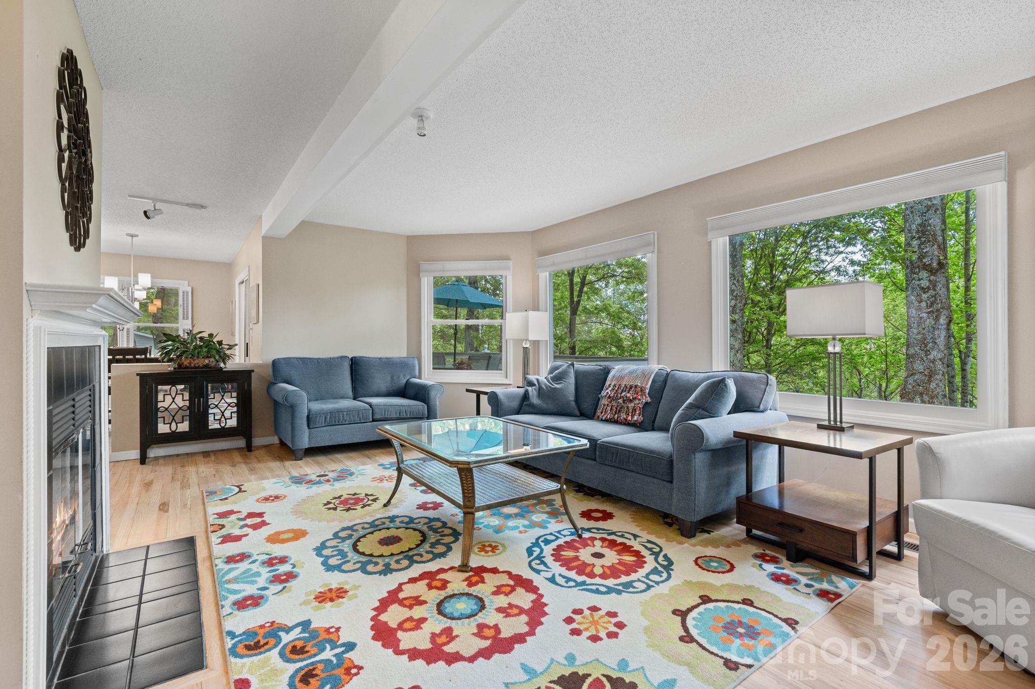 58 Sourwood Drive — Mills River