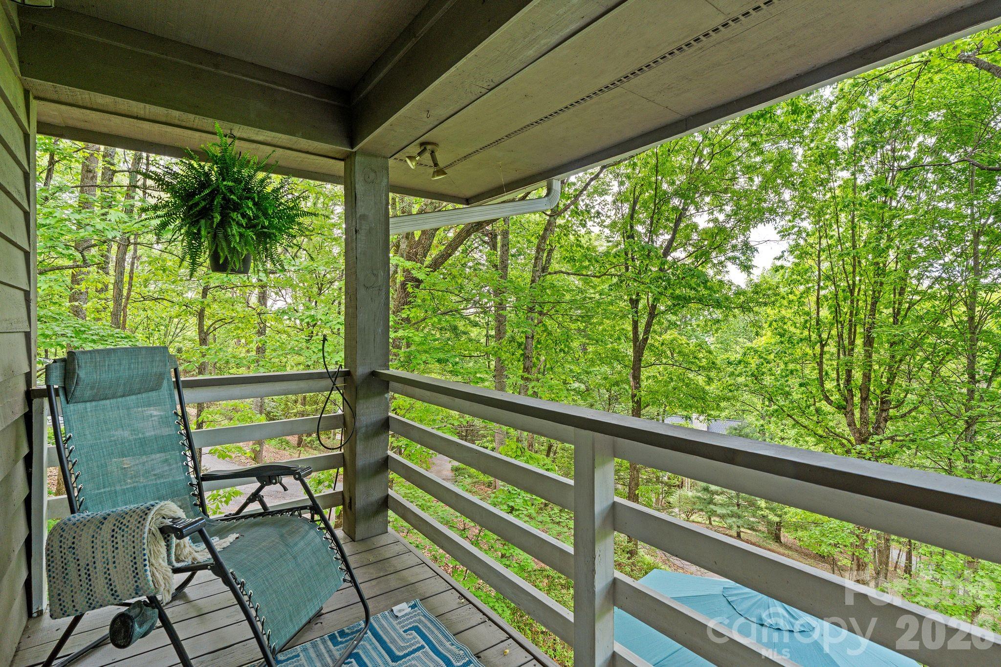 58 Sourwood Drive — Mills River