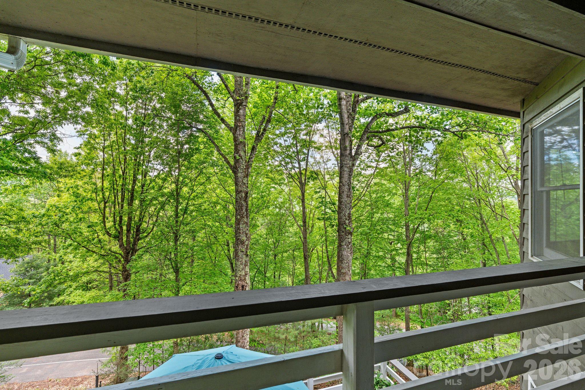 58 Sourwood Drive — Mills River