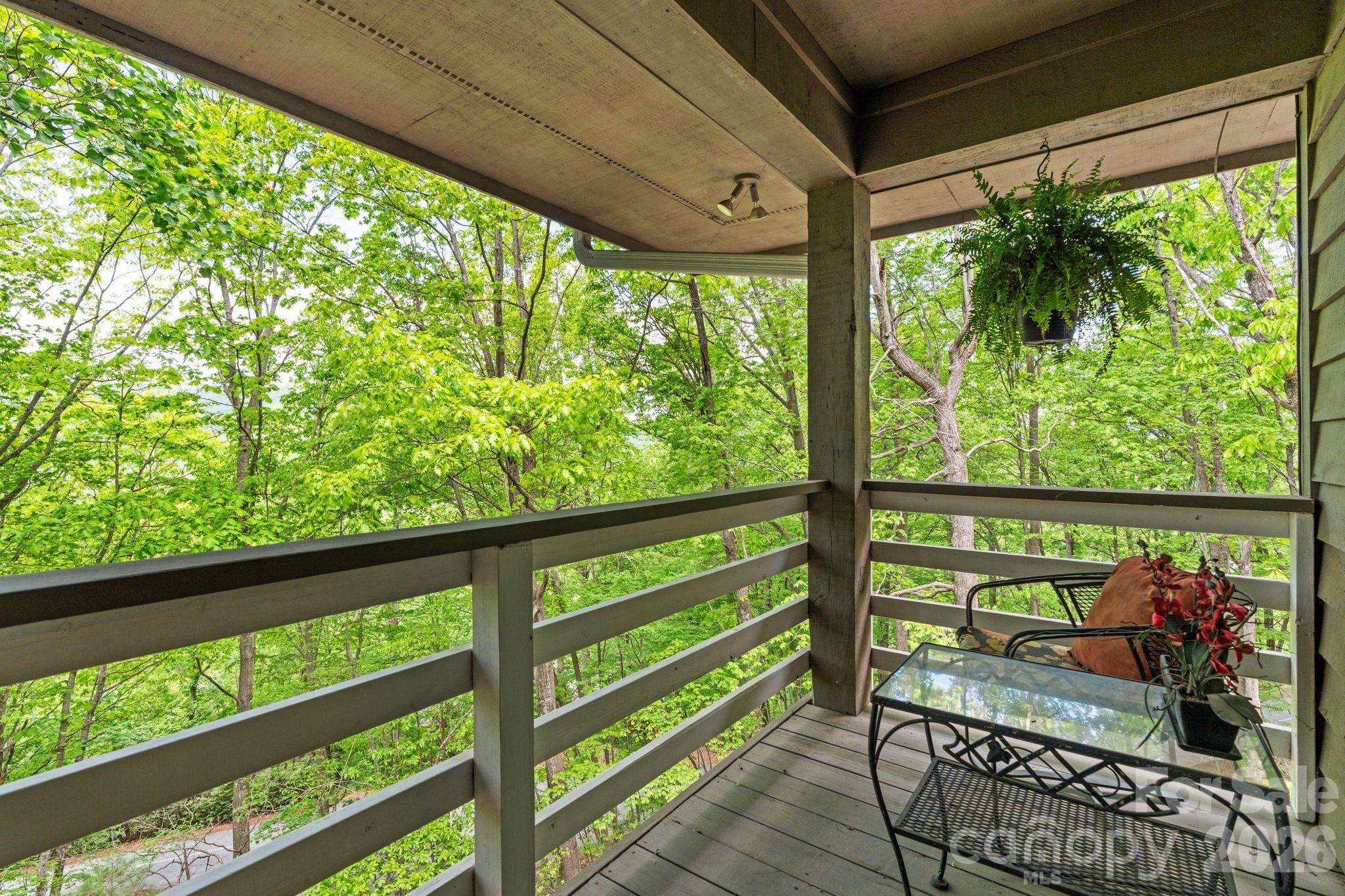 58 Sourwood Drive — Mills River