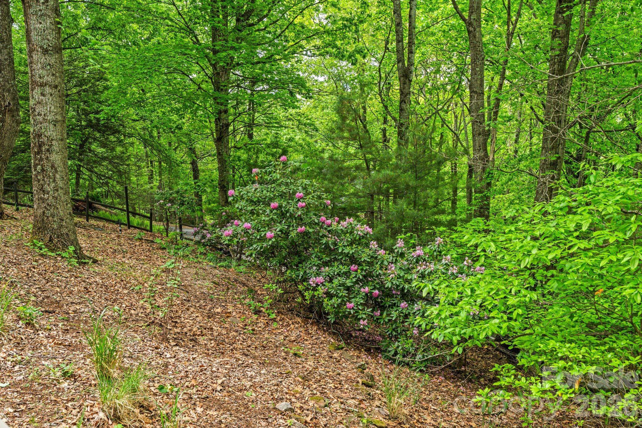 58 Sourwood Drive — Mills River