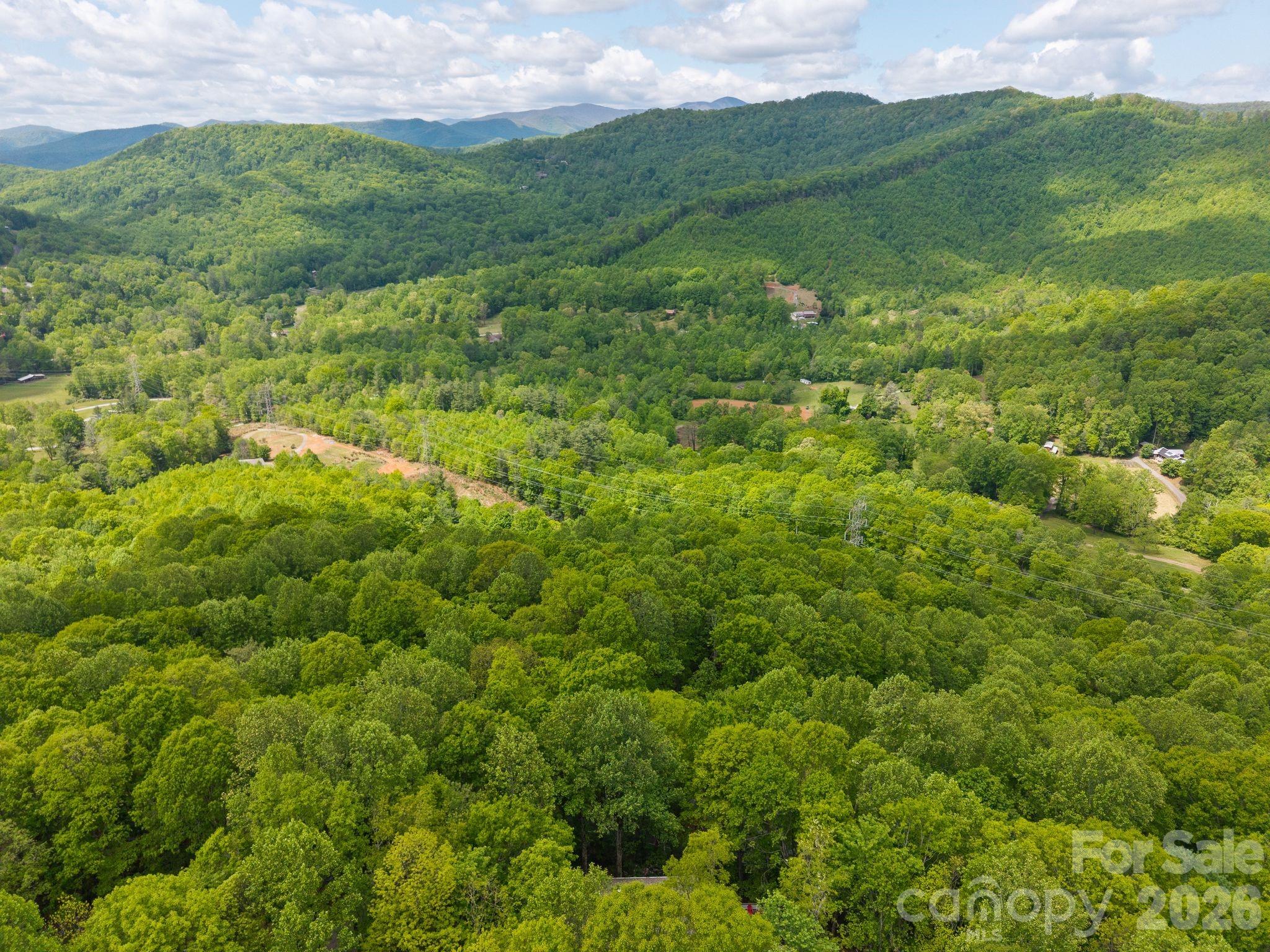 58 Sourwood Drive — Mills River