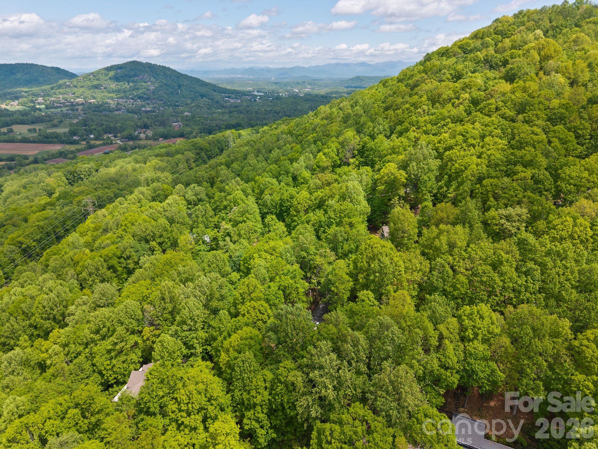 58 Sourwood Drive — Mills River